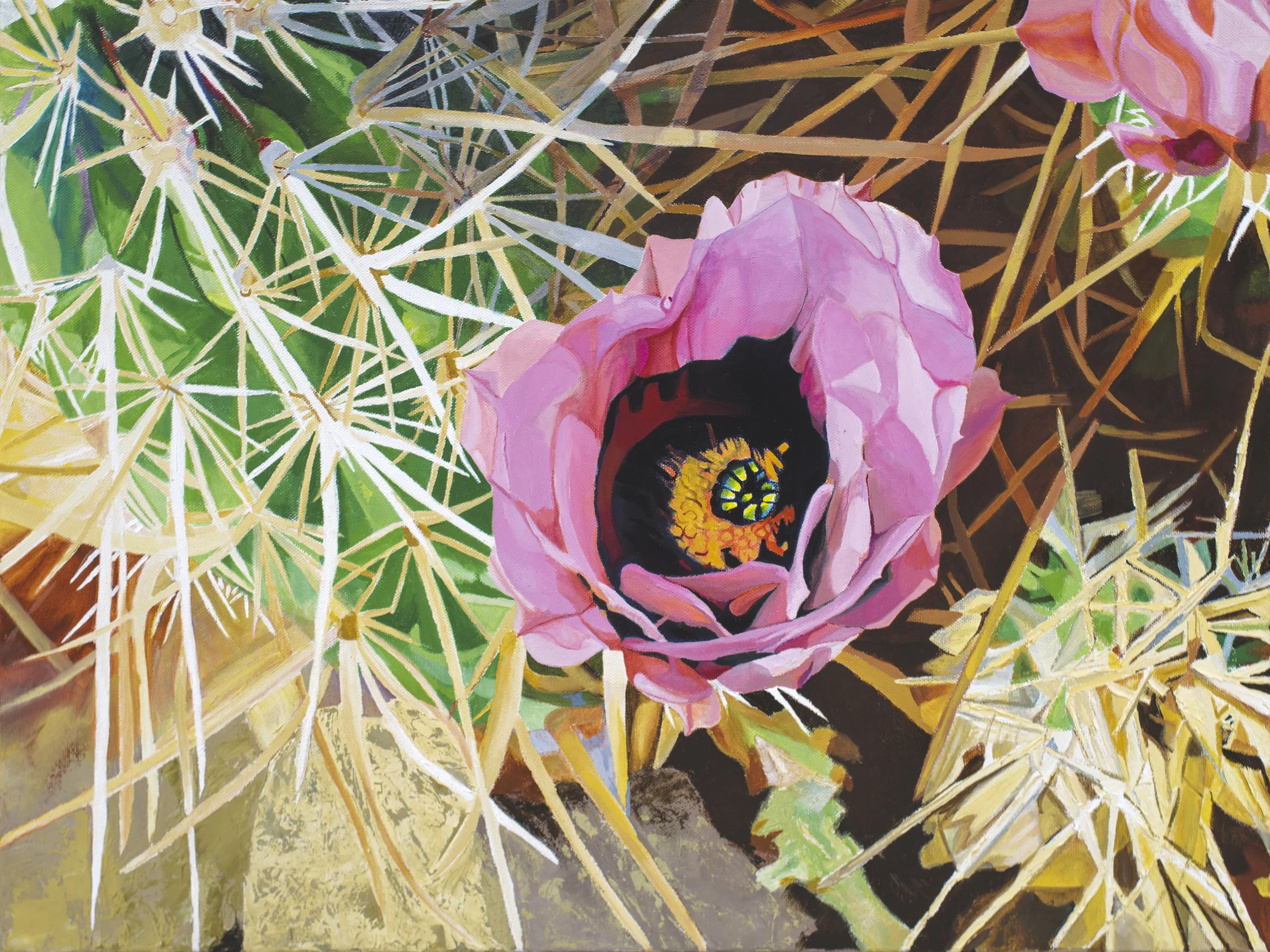 Rainbow Cactus Prints