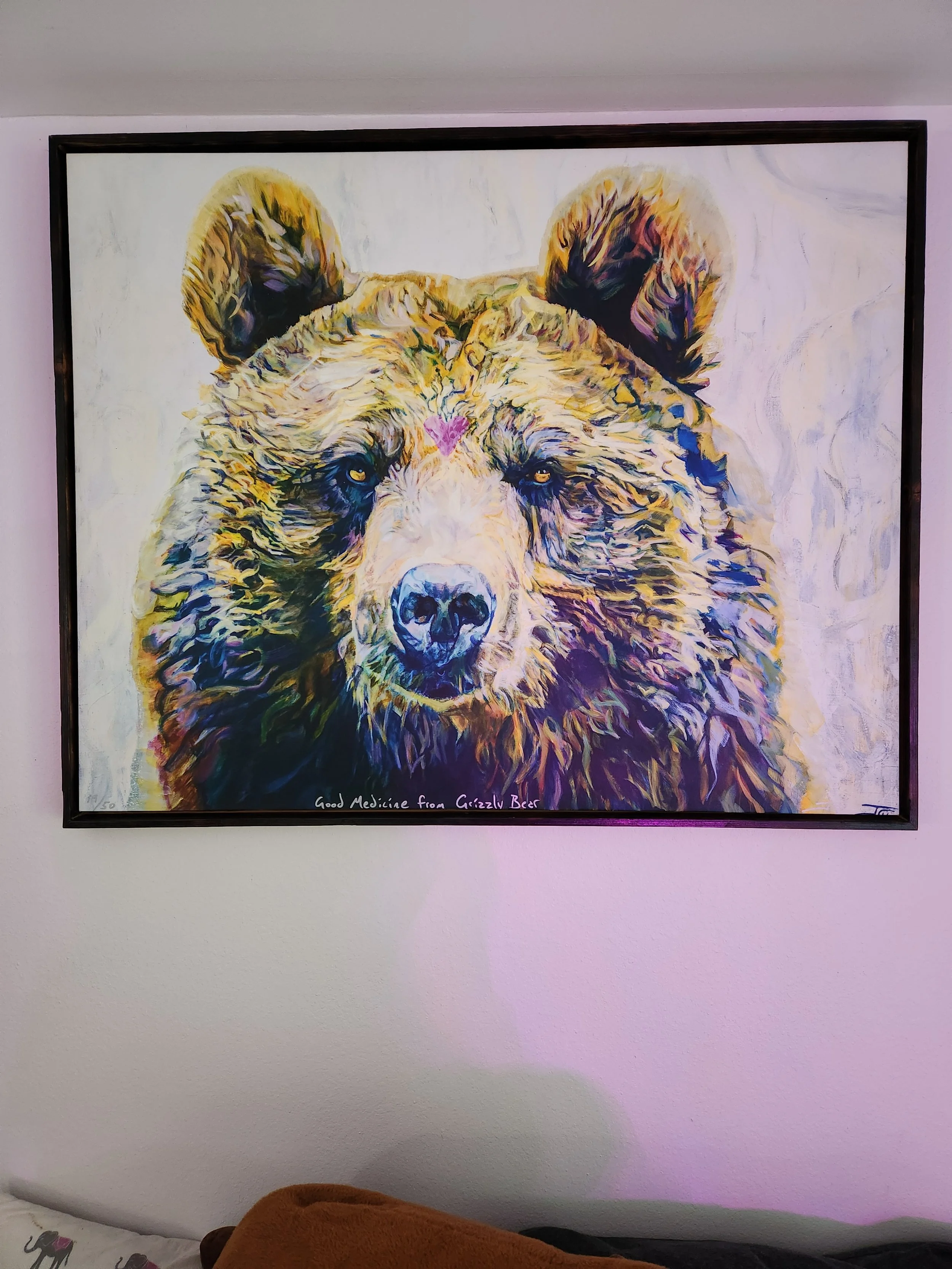 Good Medicine from Grizzly Bear Framed Queen Print