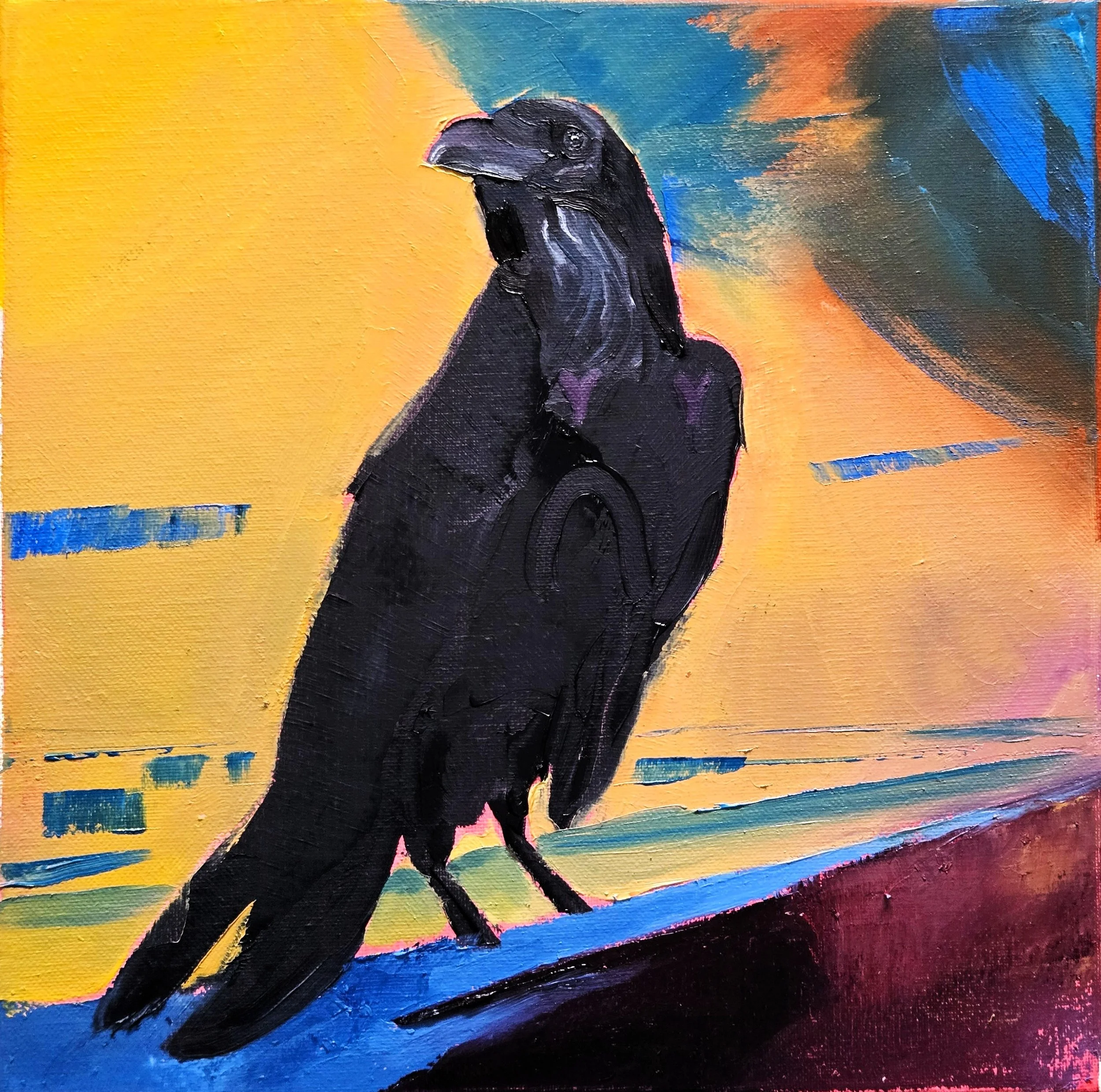 Raven portrait with sunset colors