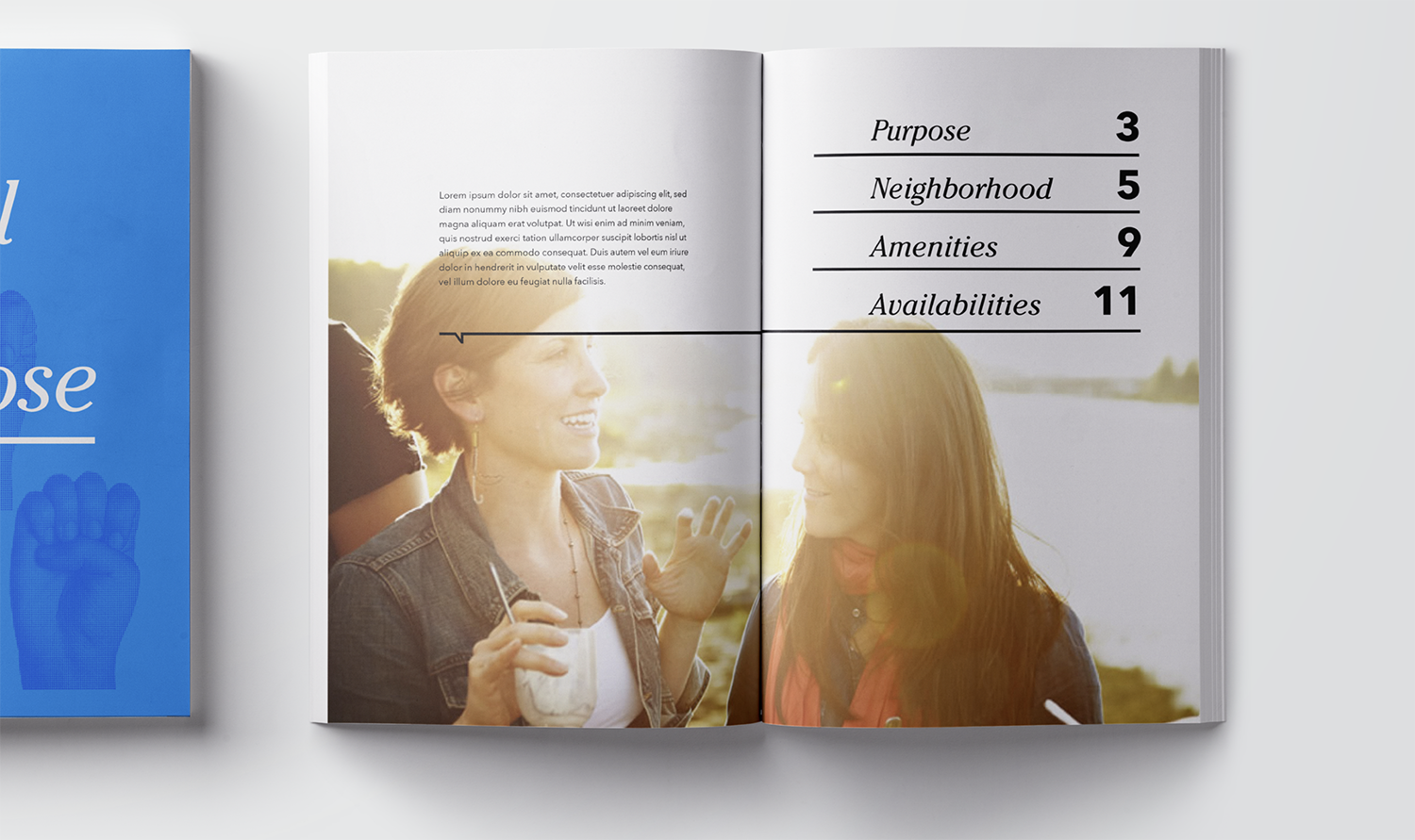 Screen Shot 2018-09-10 at 10.03.09 PM copy.png