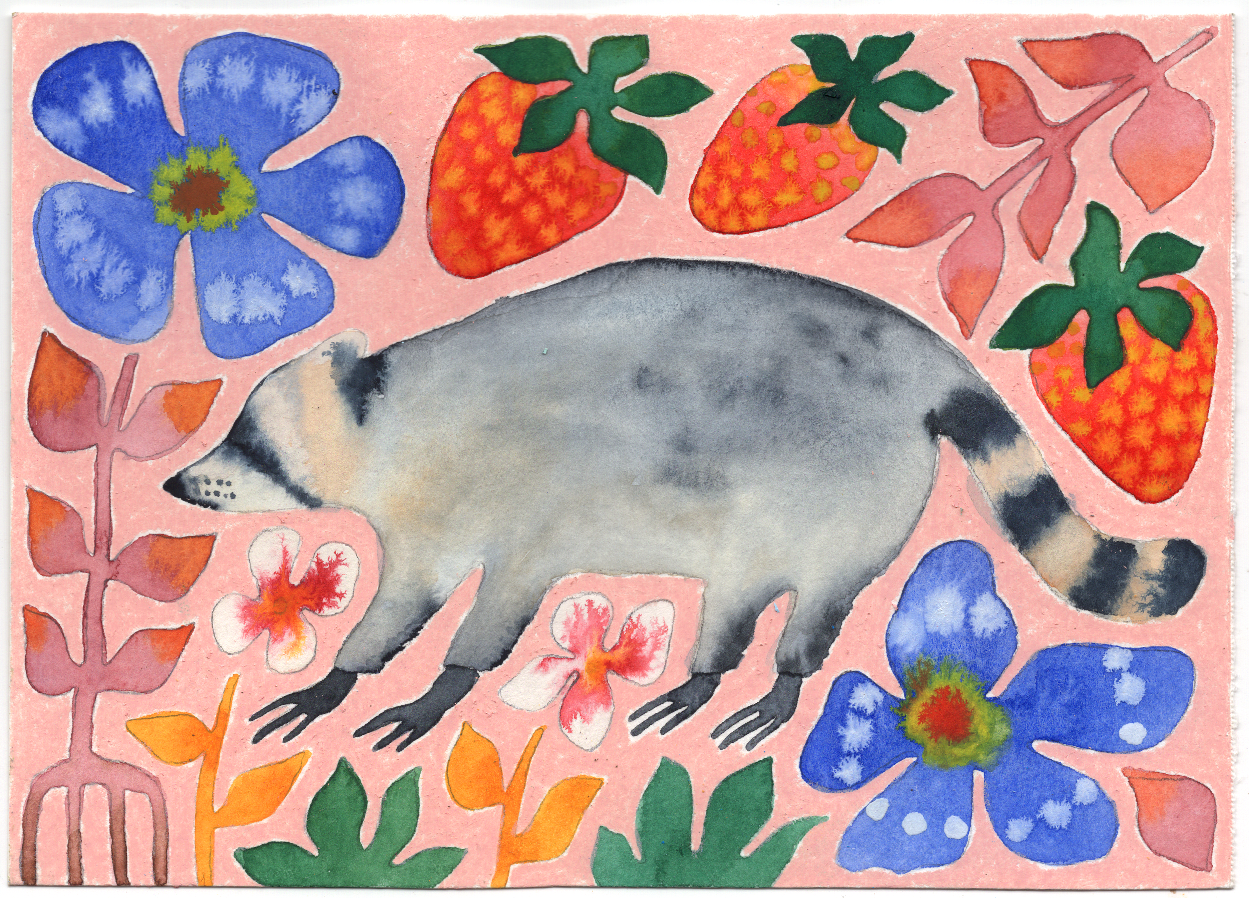raccoon web version.png
