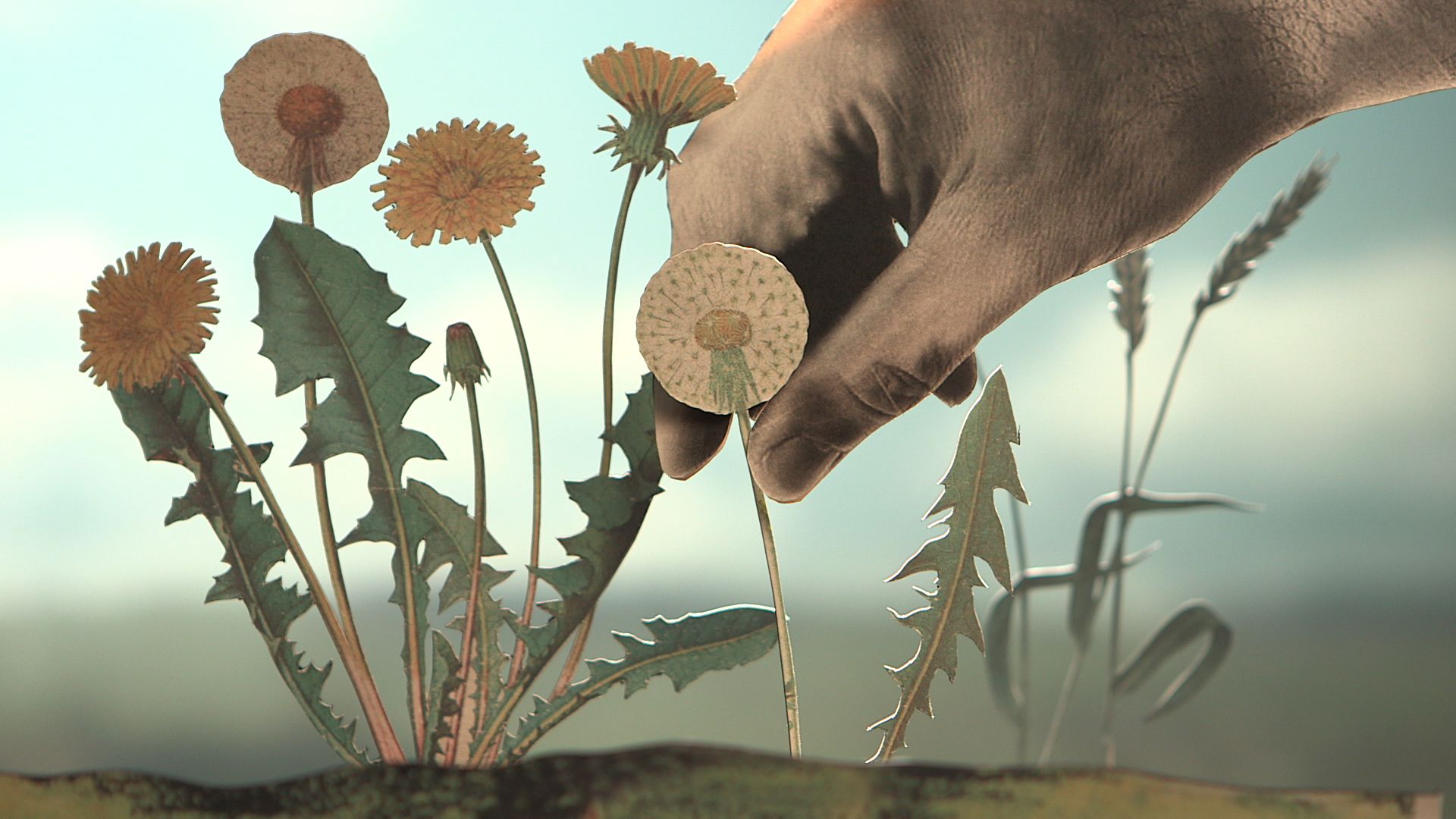 dandelion with hand.jpg