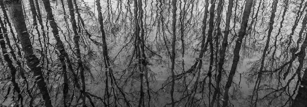 Winter reflection