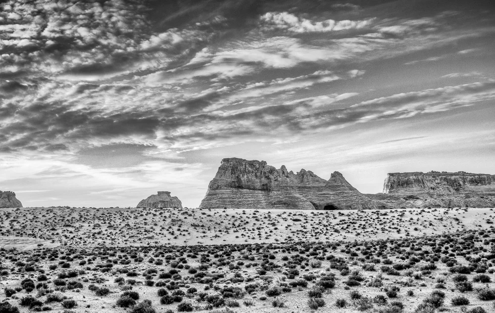 Mesa III
