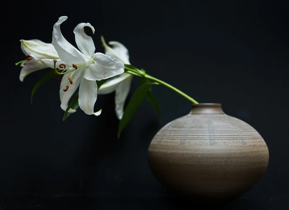 Lily in vase