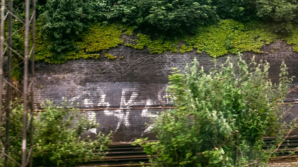 fromthetrain14.jpg
