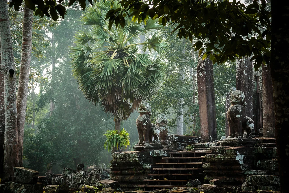Temple steps