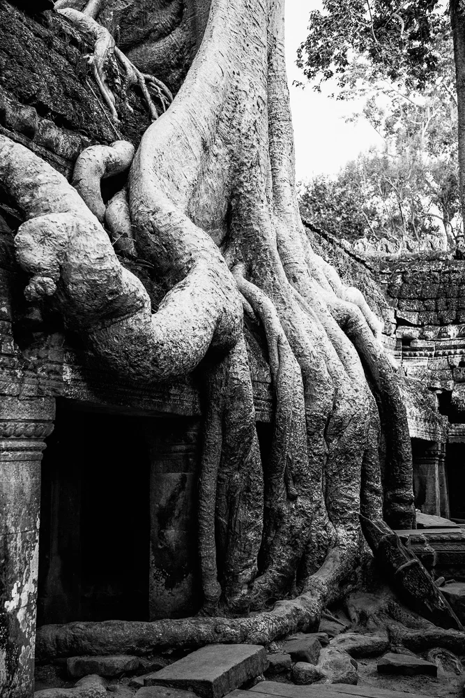 Ta Prohm