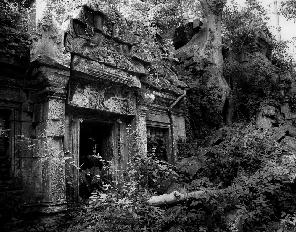 Overgrown temple