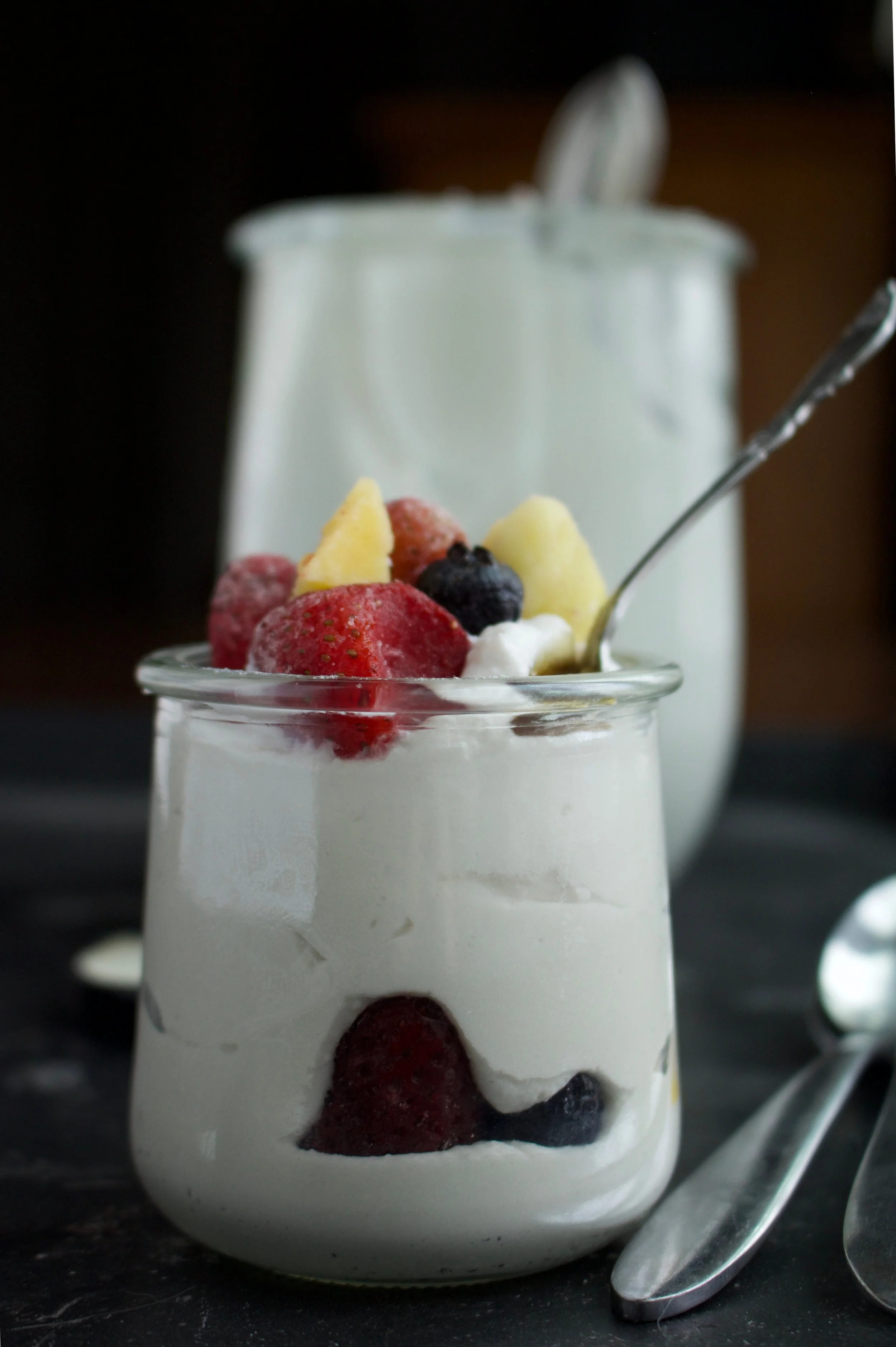 DairyFree Coconut Yogurt — Unapologetically AIP