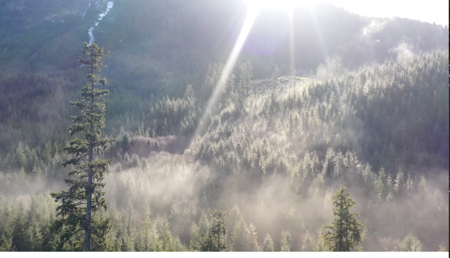 The first Episode in the 3 movies we made for Sealaska is about how they have sequestered 165,000 acres of forest in a carbon bank for the benefit of their people, the land, and the earths lungs. Watch this powerful movie here www.sealaska.com