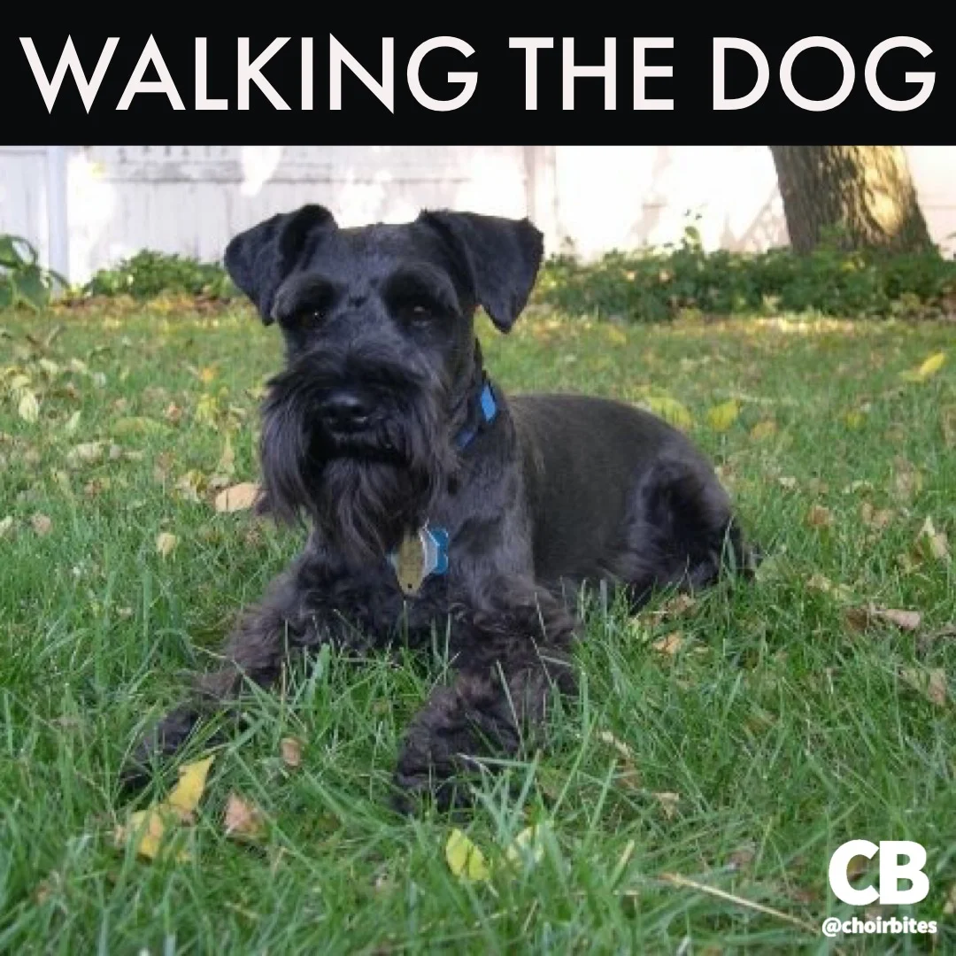 Walking the Dog