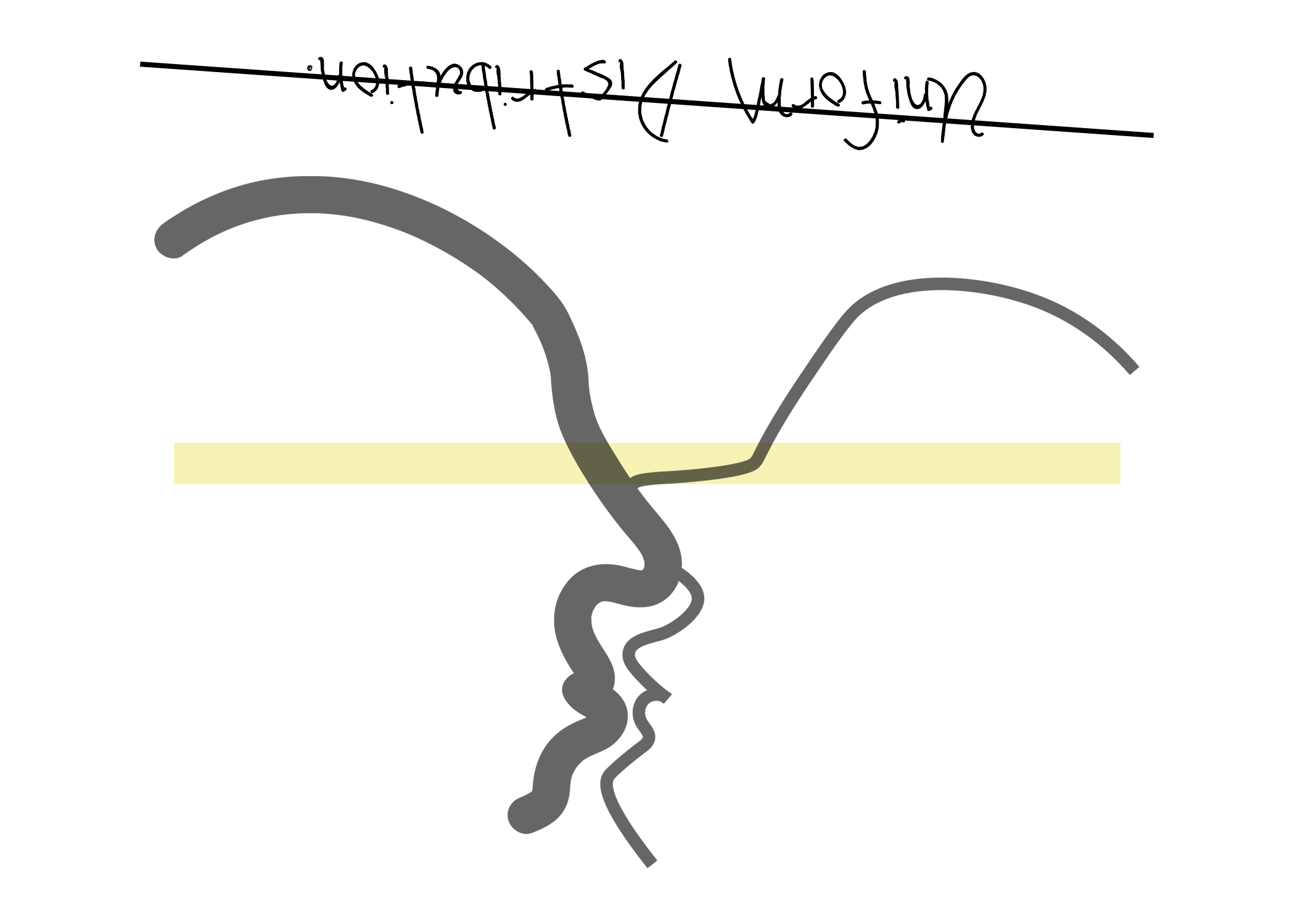 uniform distribution gp close up.png