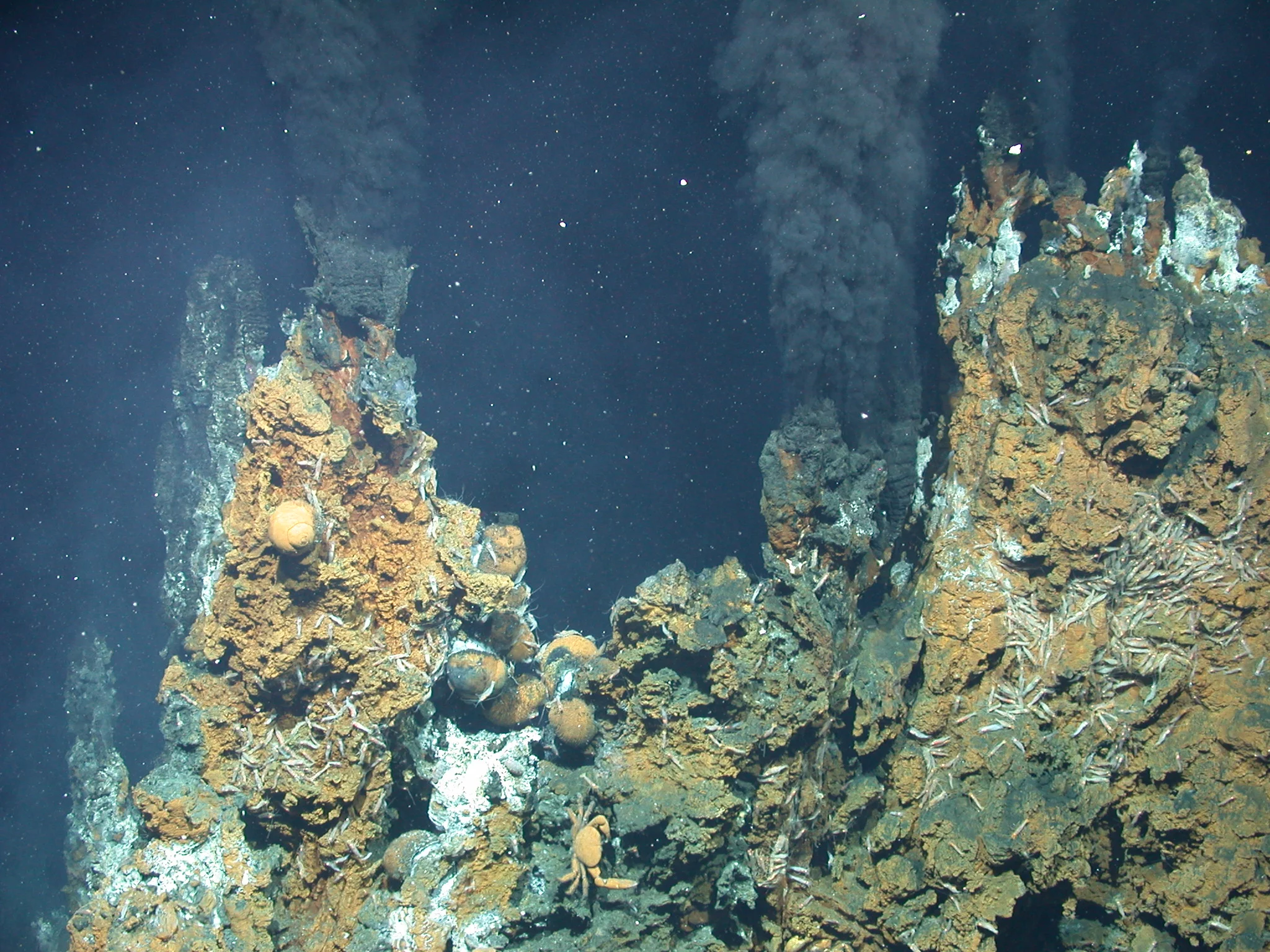 DSCN1093.JPG
