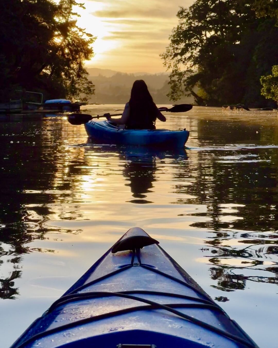 Heart of lightness. 

Rainy day dreams of summer, and heading up the river with @taramossauthor 

#kayak #love #summer #light #water #victoriabc #victoria #esquimalt #canada #explorebc