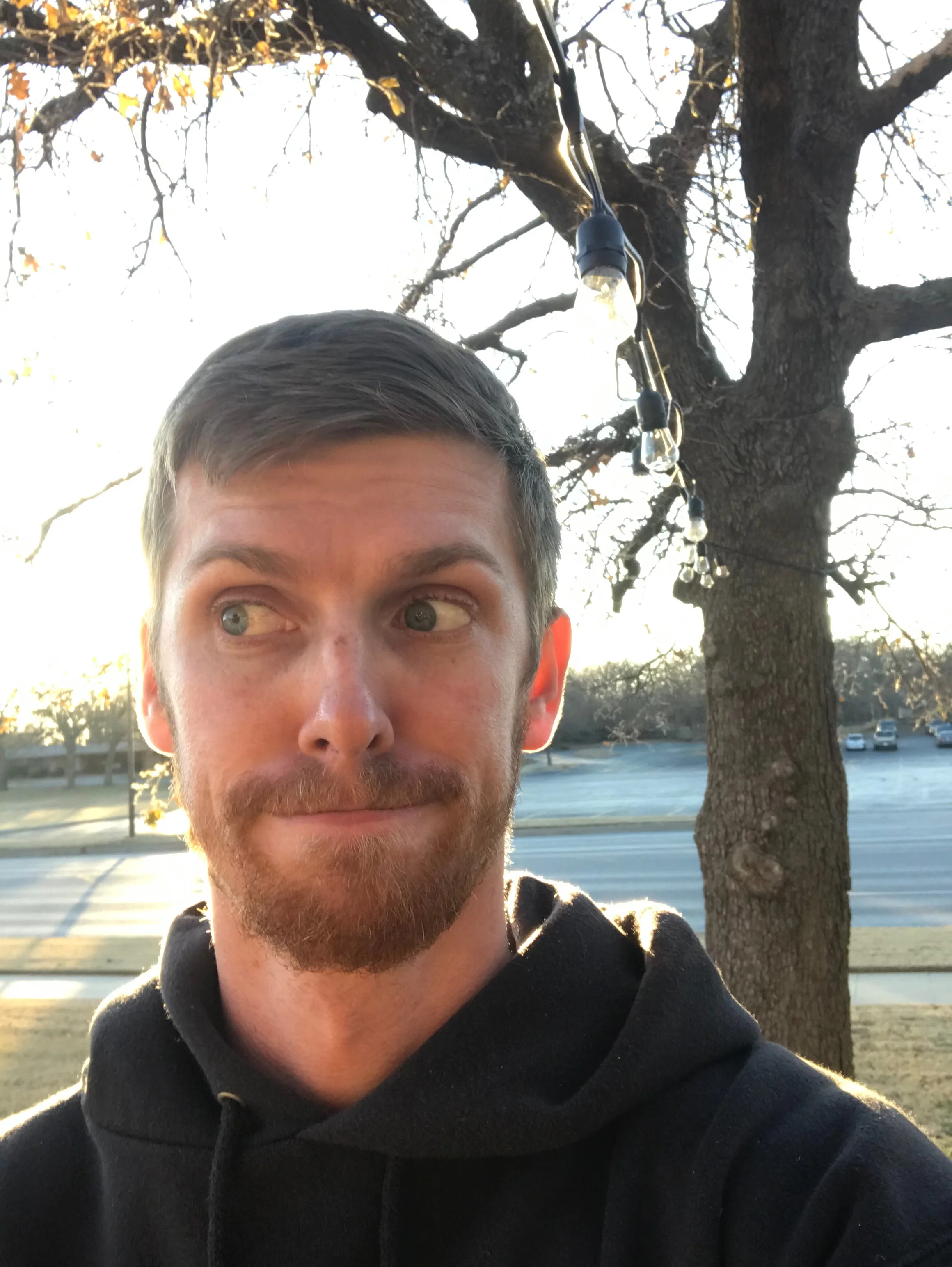 Observations from Cambodia