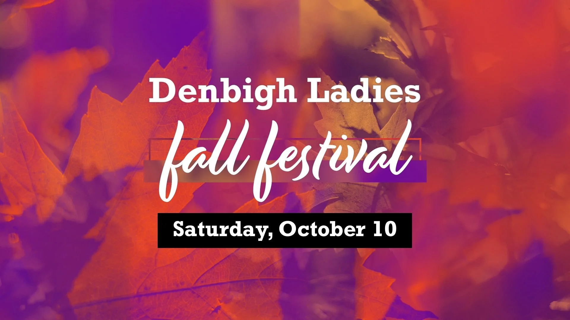 Fall Festival.jpg