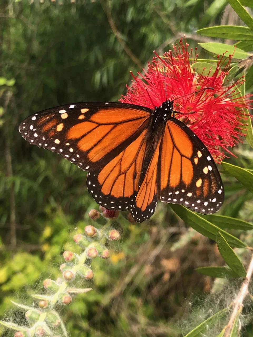 Muddy Hands Workshop April 24 