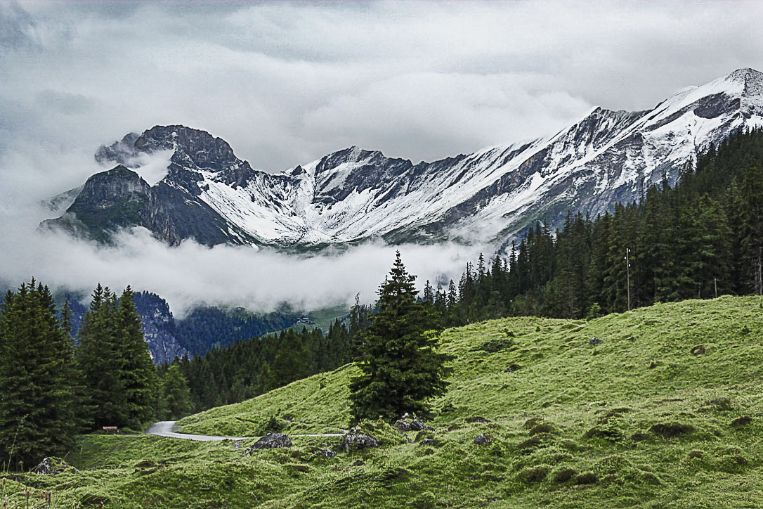 Swiss Alps.jpg