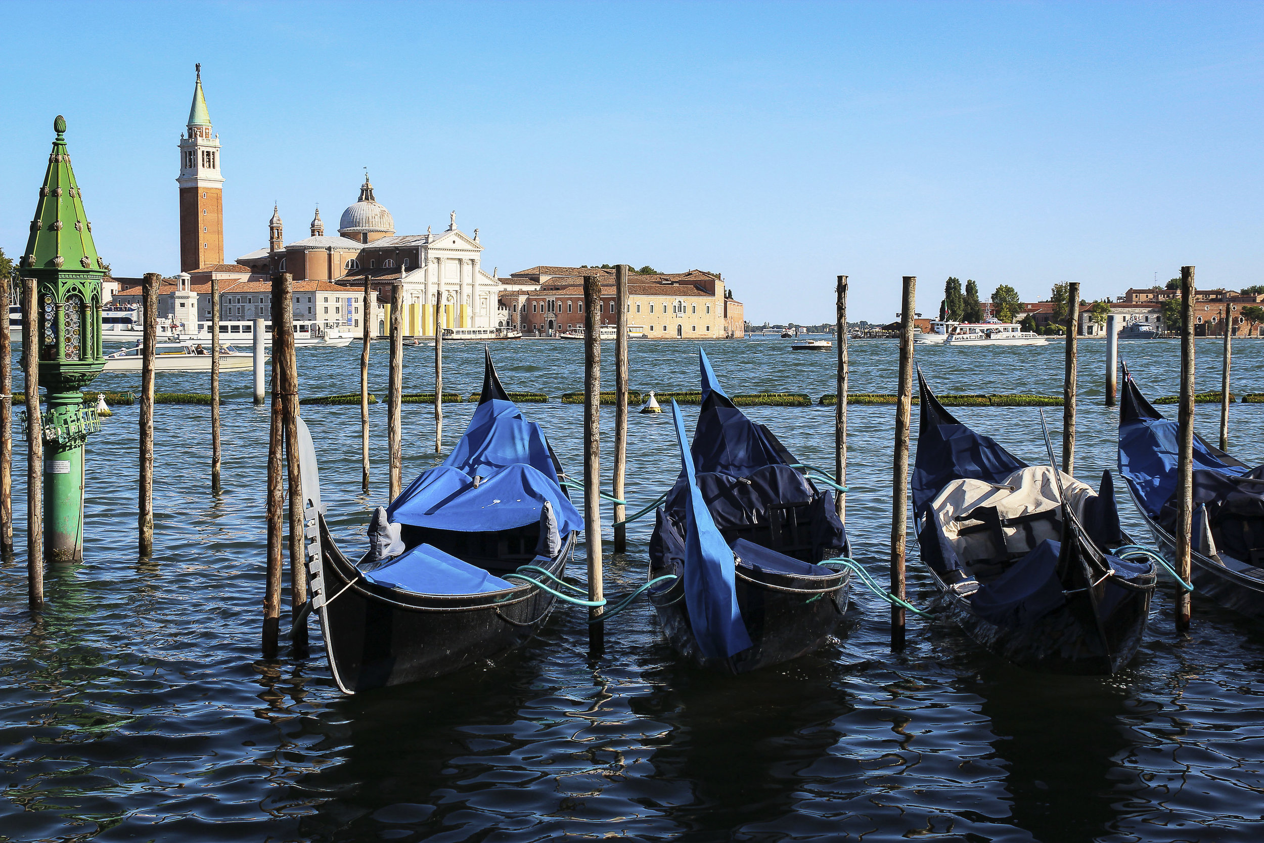Venetian Gondolas.jpg