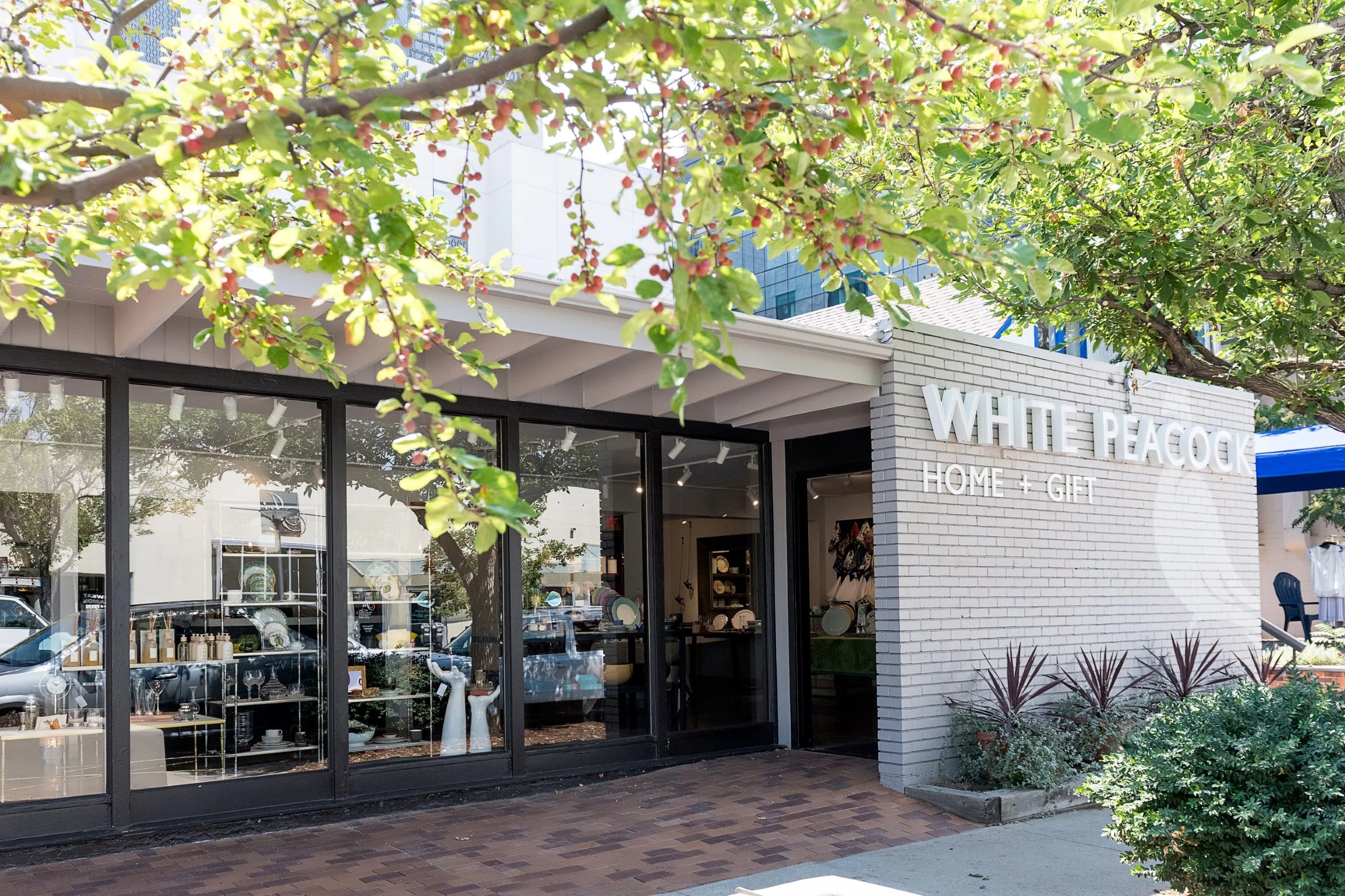 Cherry Creek Fashion White Peacock.jpg