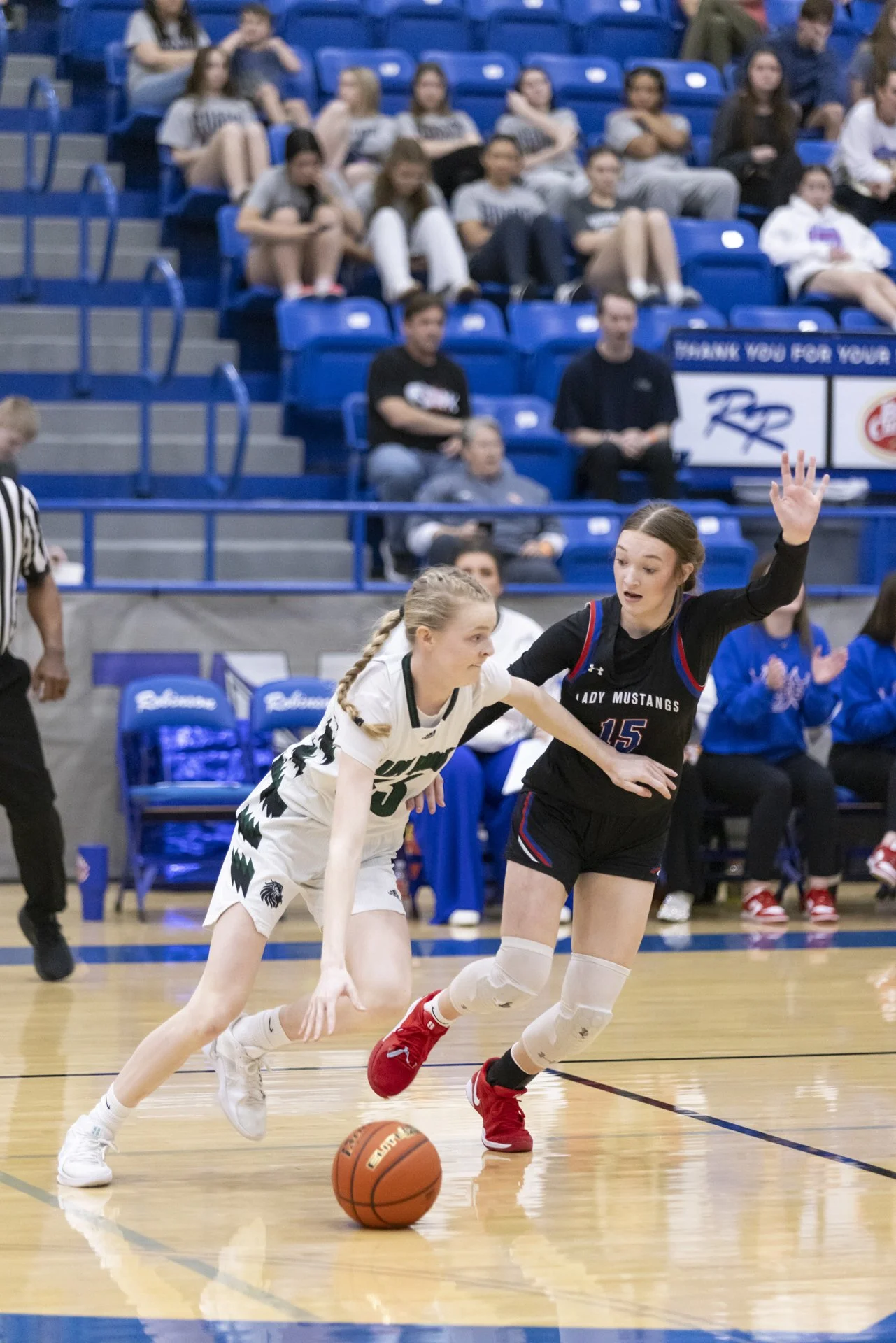 AbbyPfaffPhotography_basketball_39.jpg