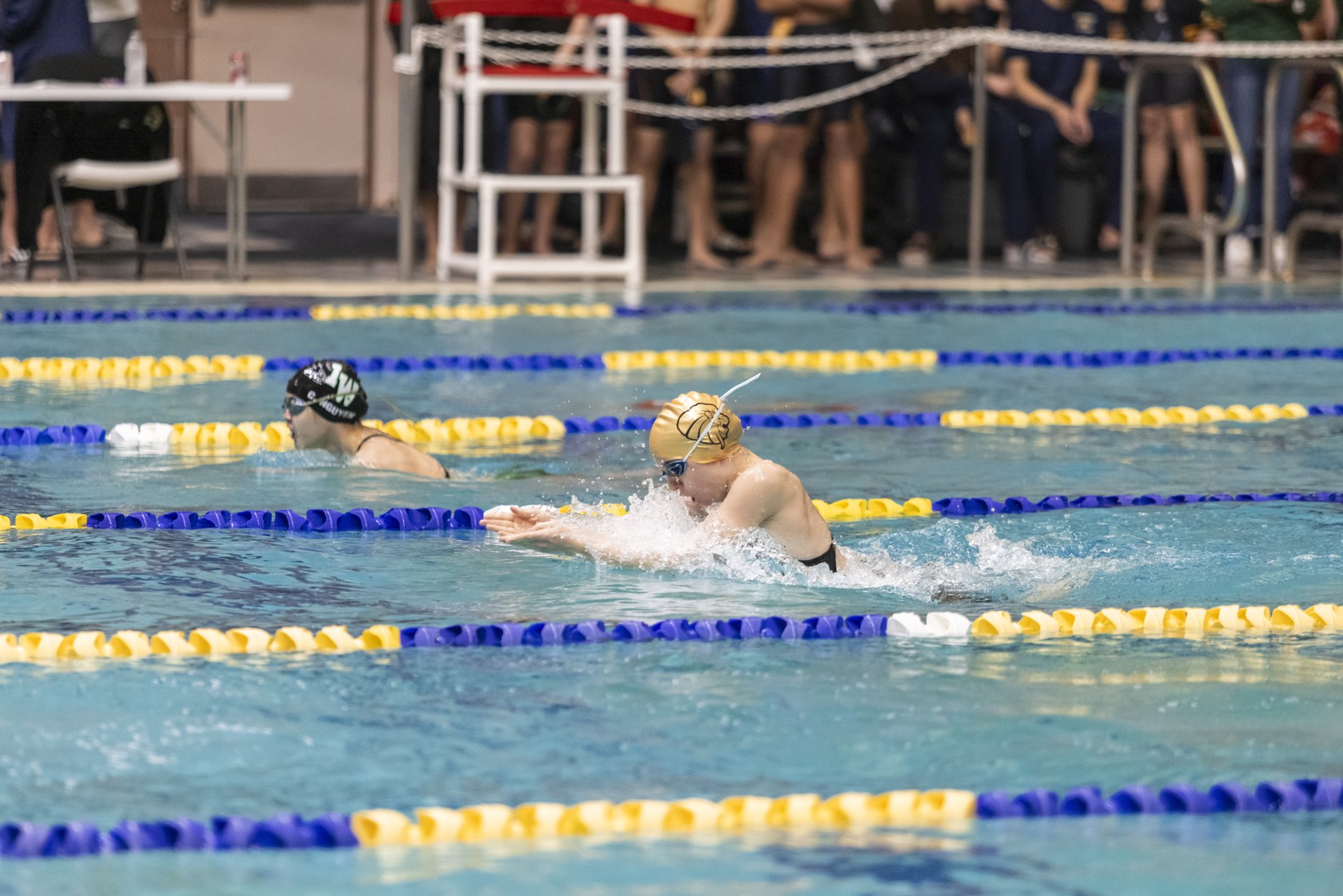 AbbyPfaffPhotography_swim.jpg