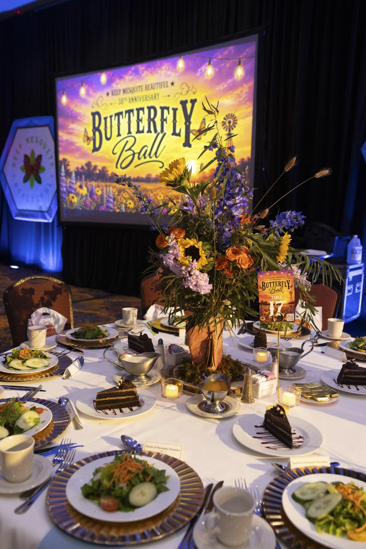 ButterflyBall-26.jpg