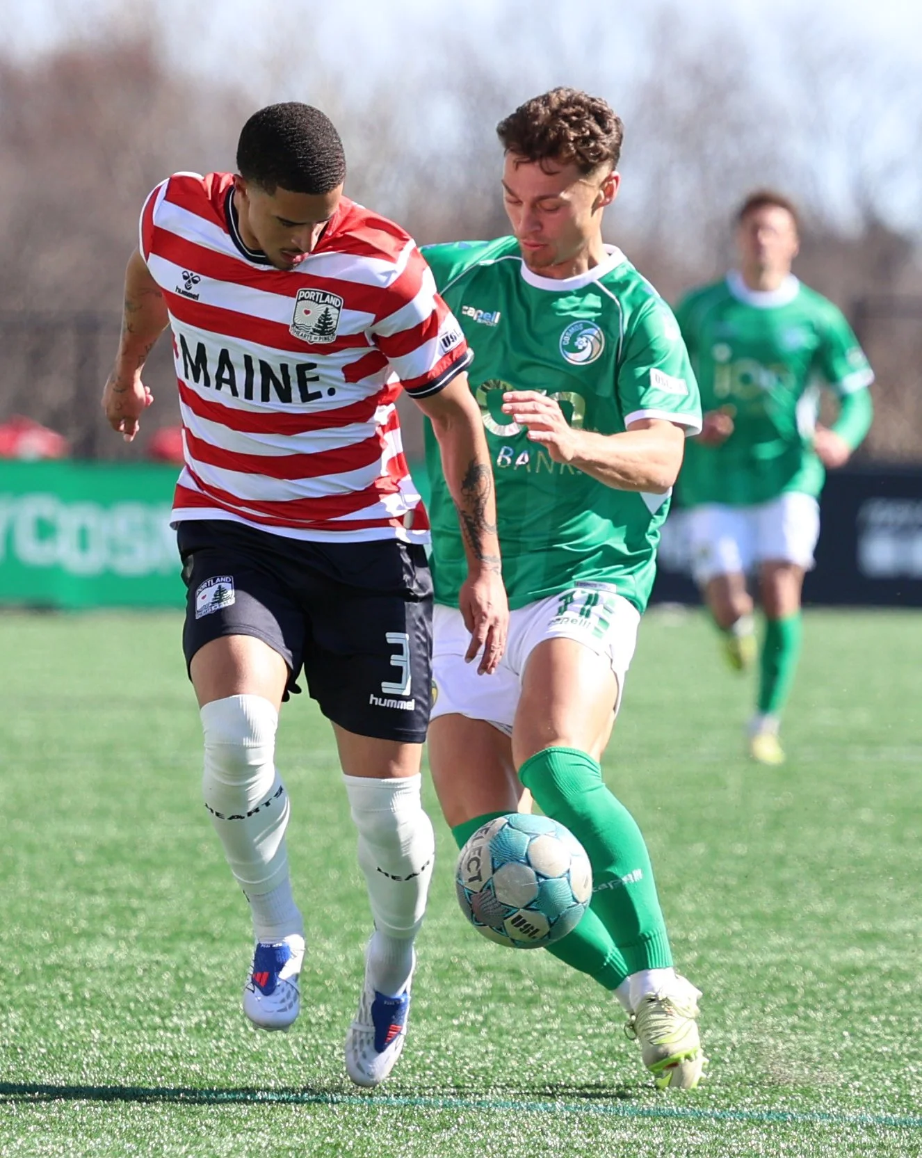 cosmos_portland_march14_js _0234.jpeg