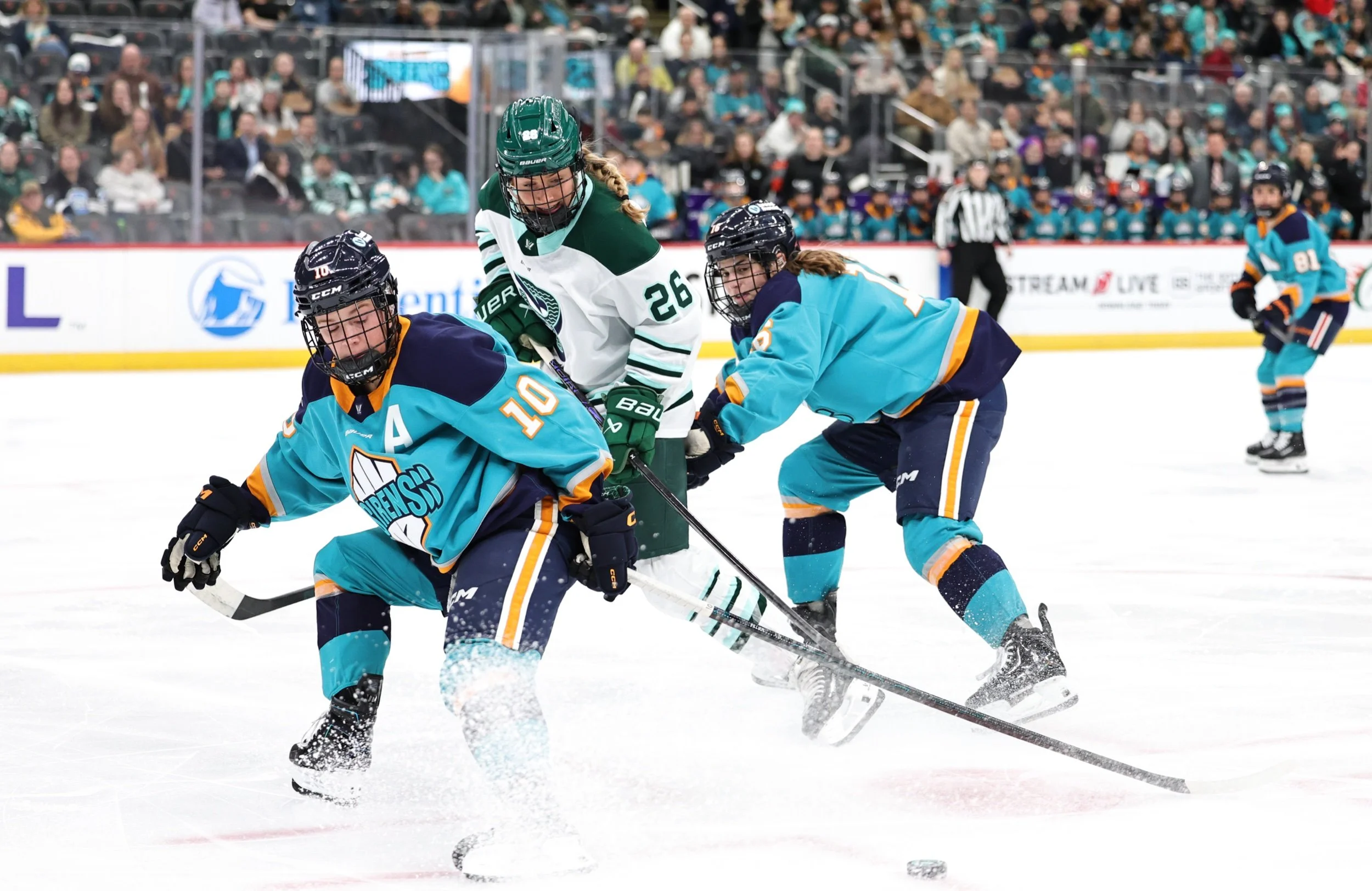 siren_fleet_march5_js _0016.jpeg