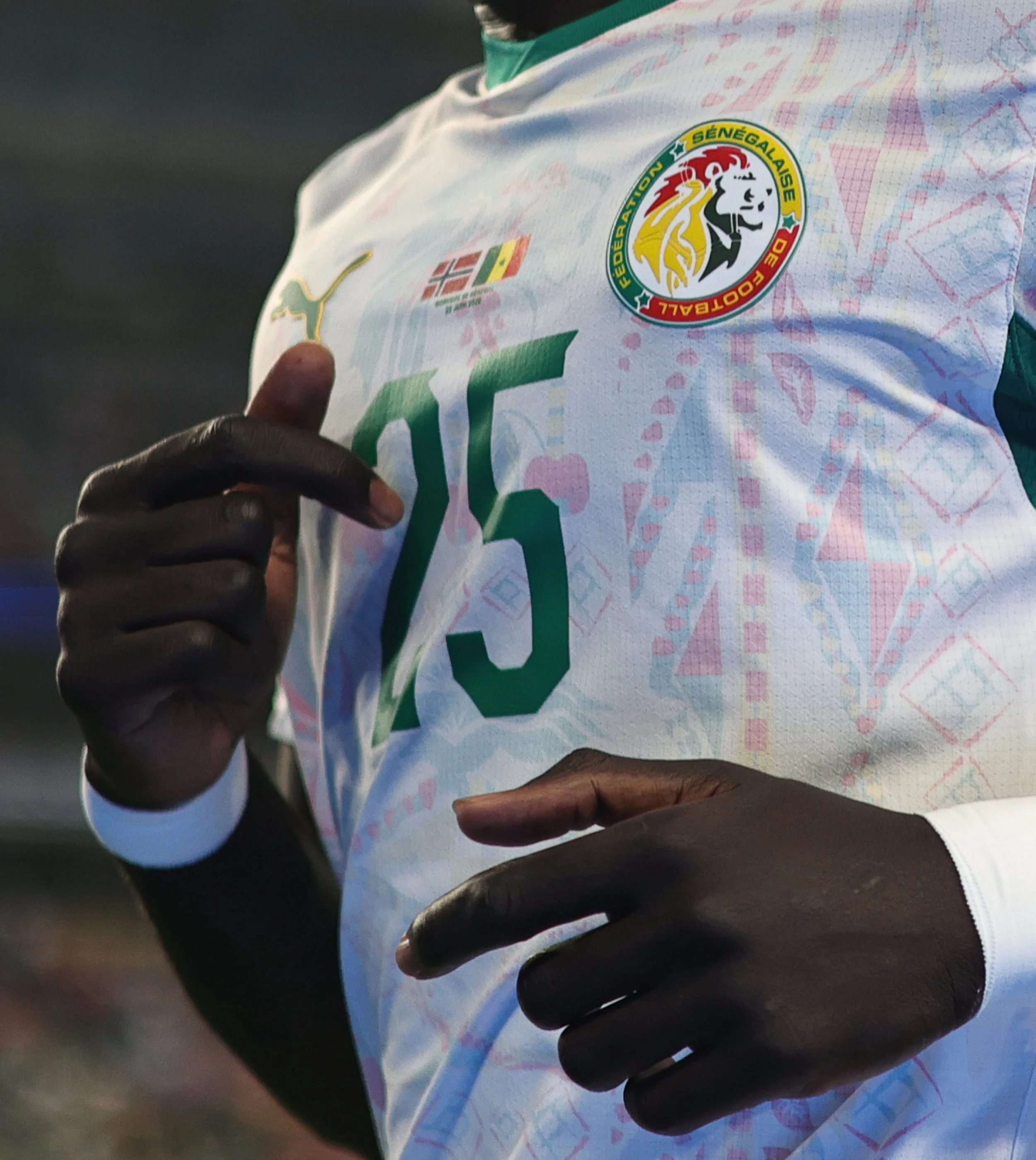 norway_senegal_WC26_june22_js _0227.jpeg