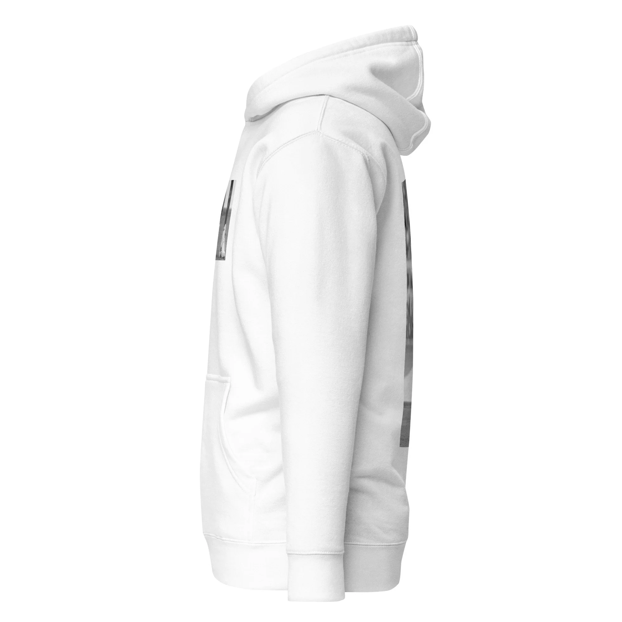 unisex-premium-pullover-hoodie-white-left-6a6700d073fec.jpg