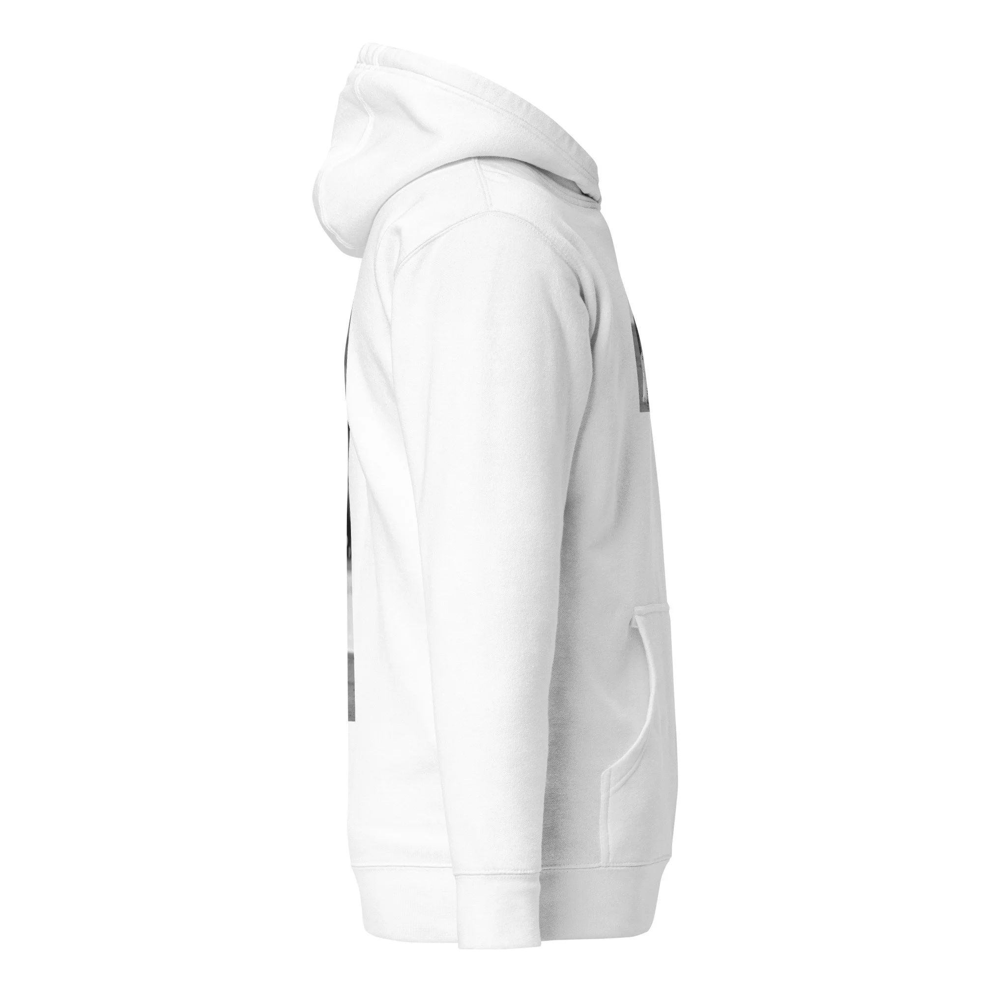 unisex-premium-pullover-hoodie-white-right-6a6700d074a1a.jpg