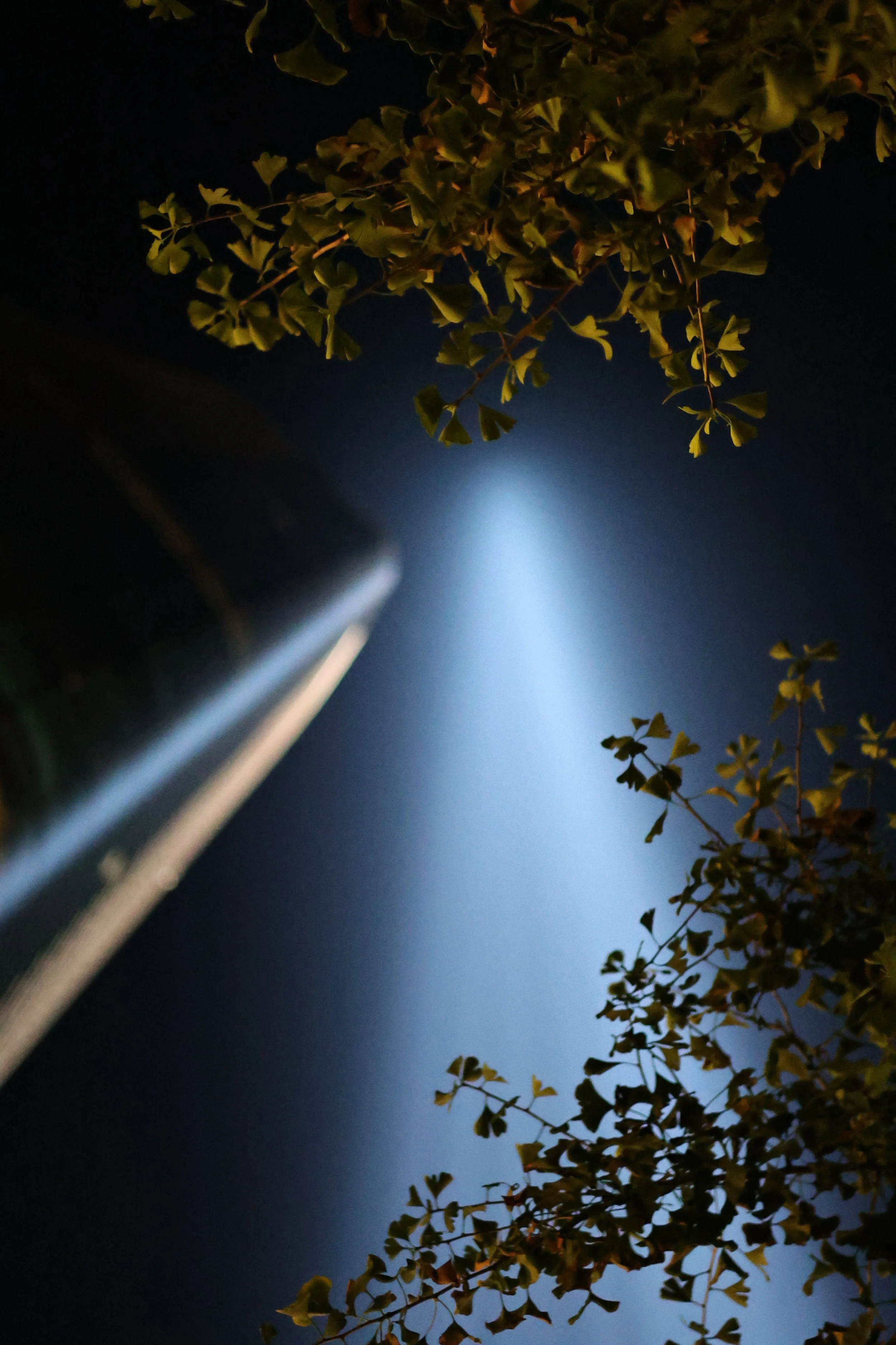 september_11th_sept11_js _1759.jpeg