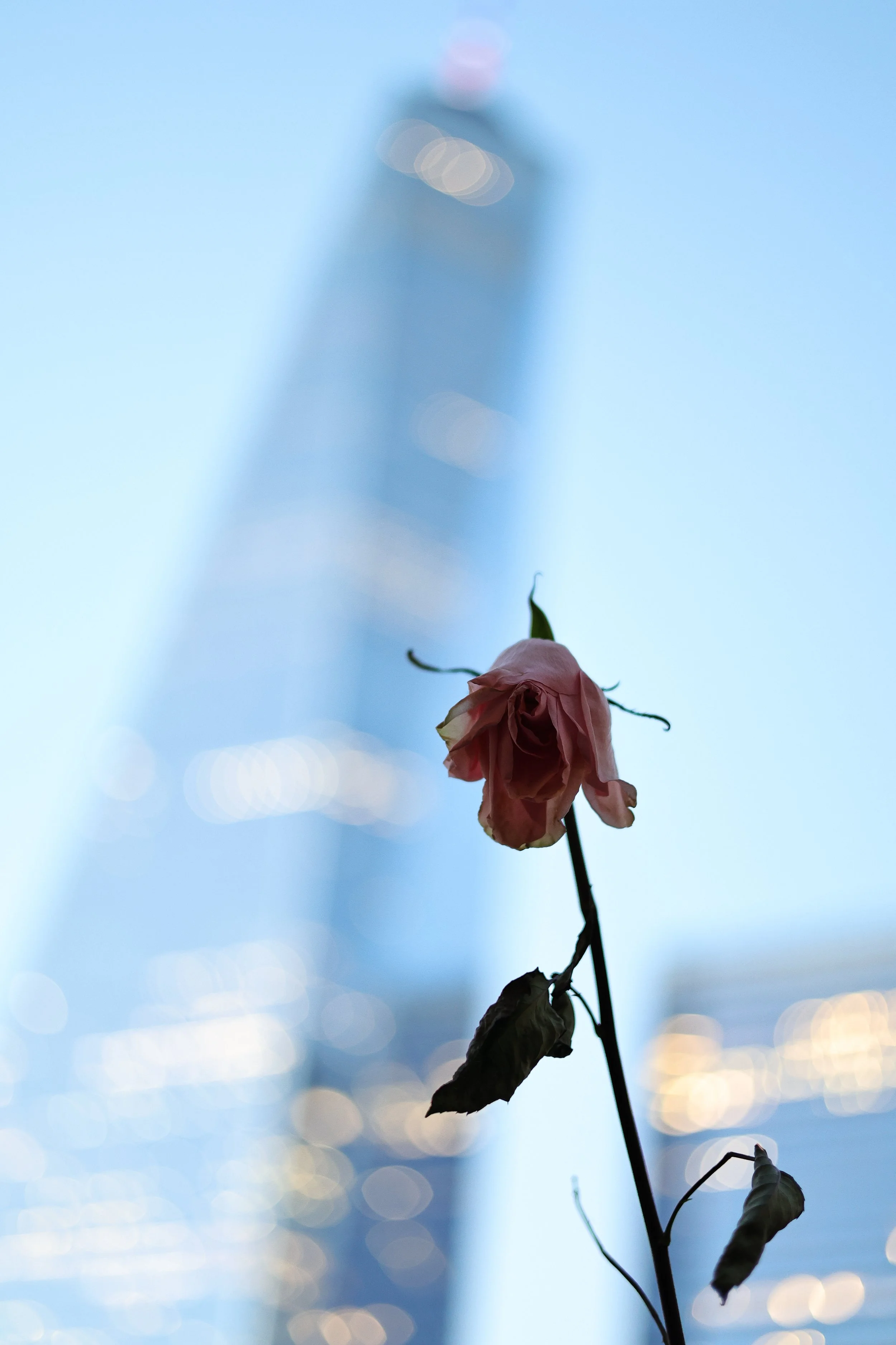 september_11th_sept11_js _1592.jpeg