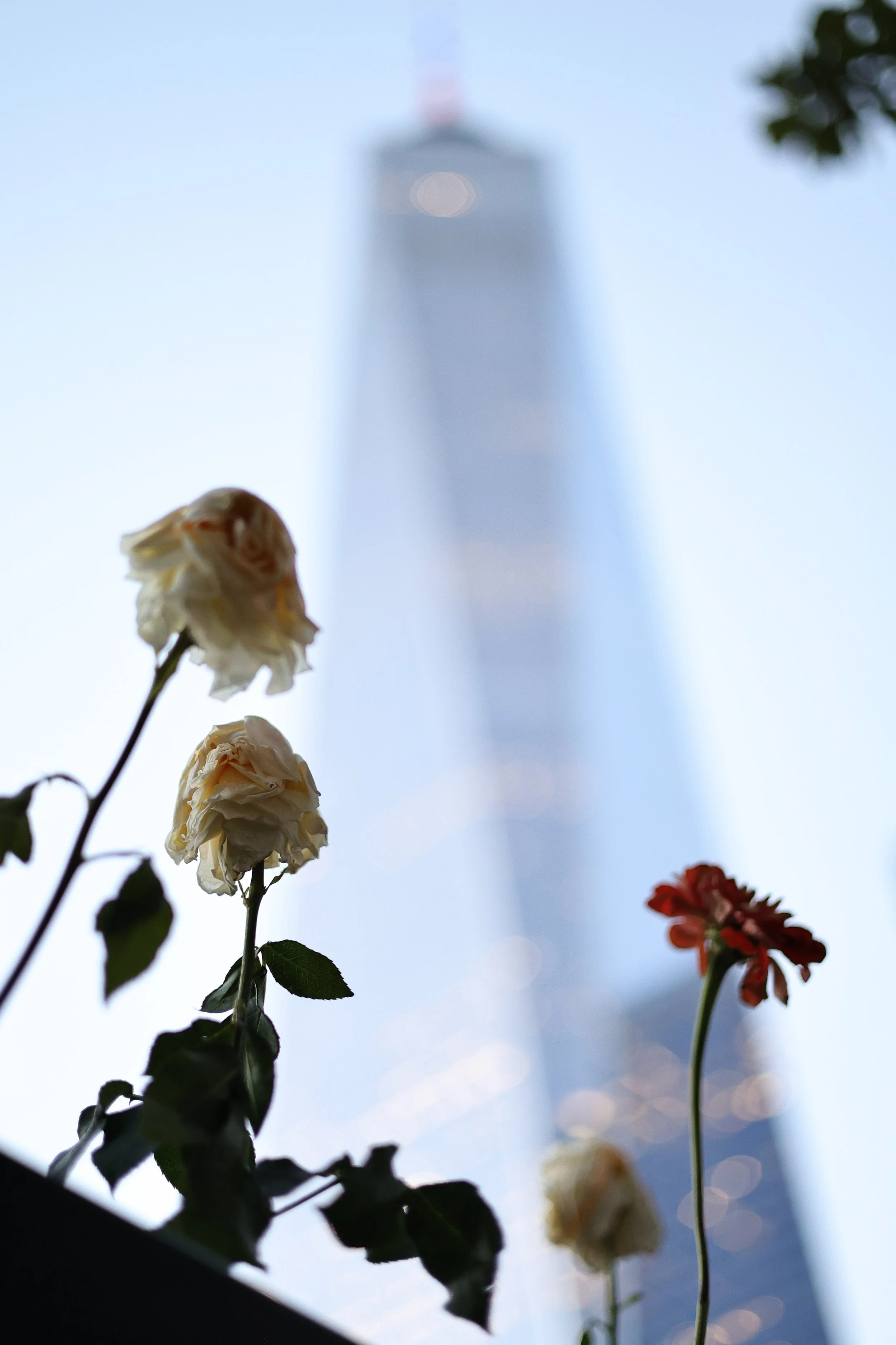september_11th_sept11_js _1506.jpeg