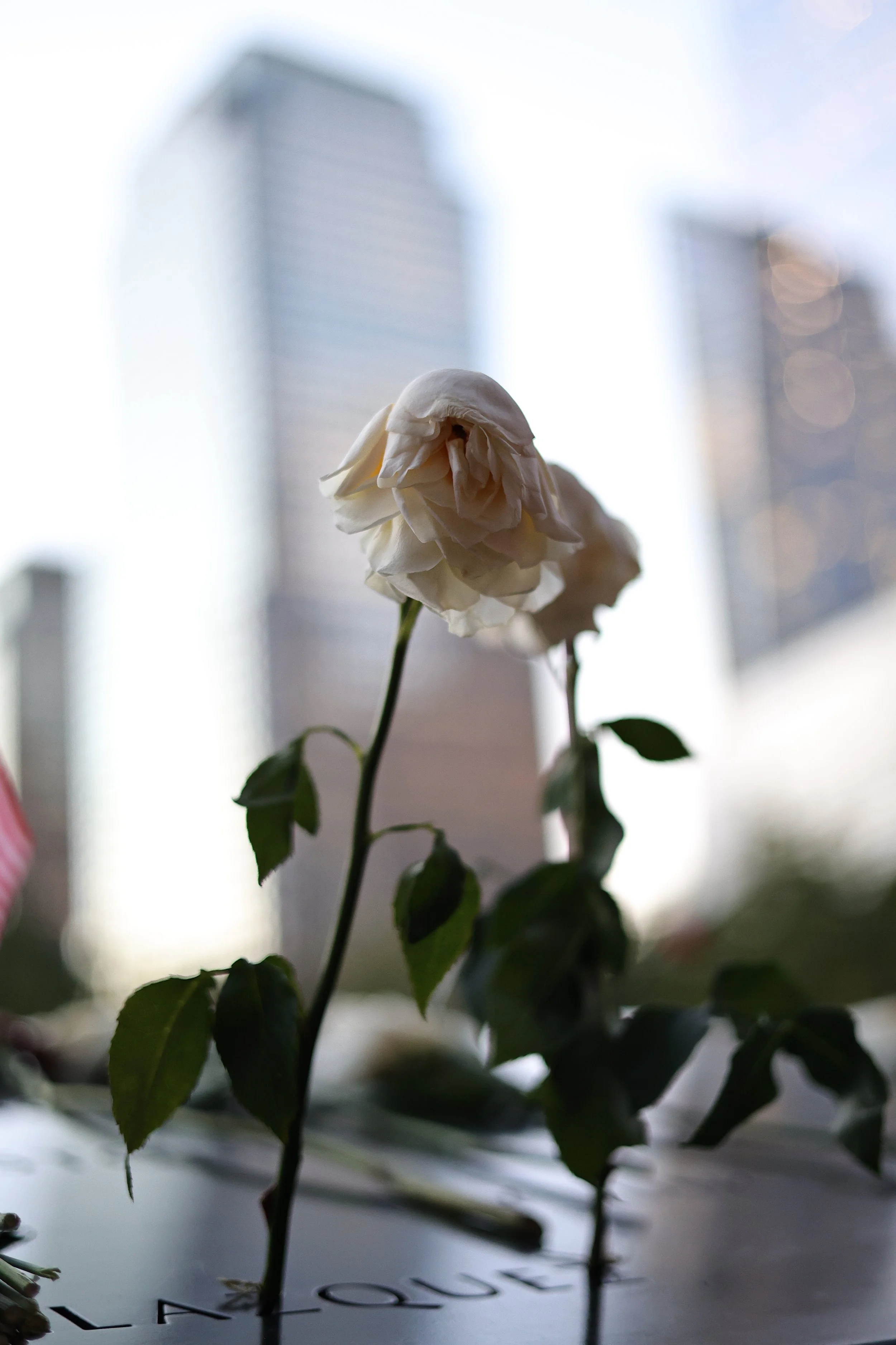 september_11th_sept11_js _1501.jpeg