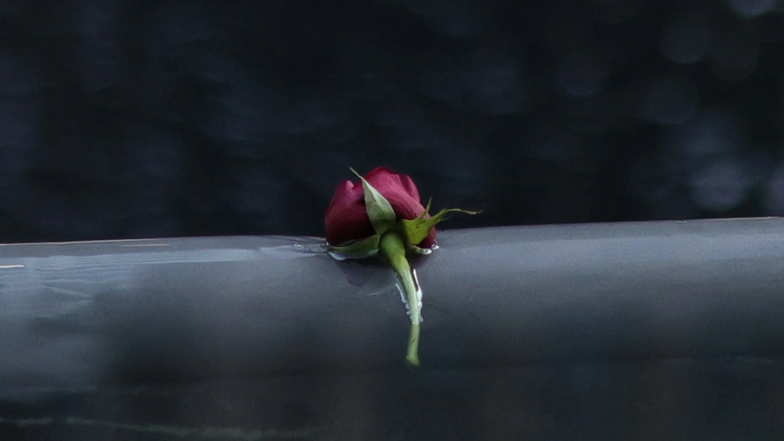 september_11th_sept11_js _1386.jpeg