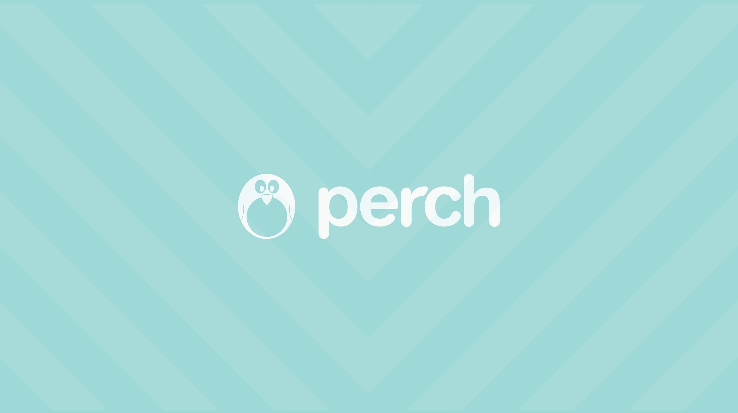 Alongside renaming the company we designed a custom pre-order website and extensive guidelines for implementation of the brand into the product design.