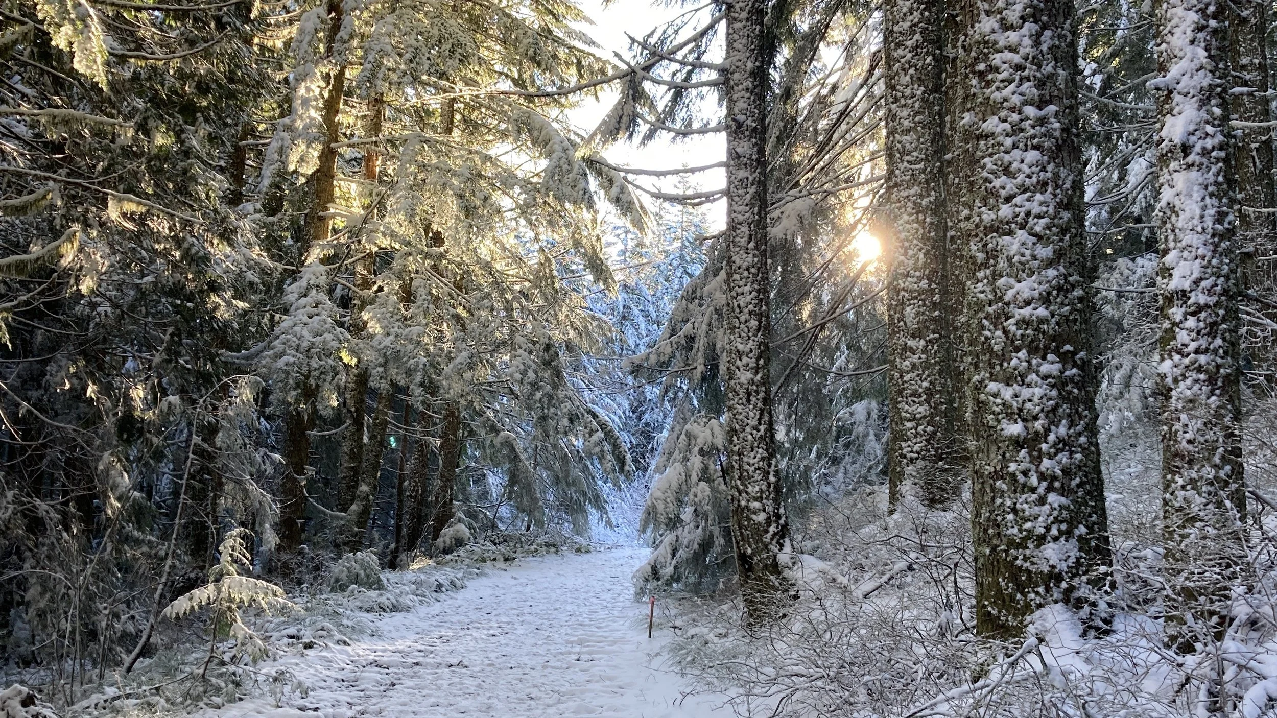 What Is Winter Solstice, A Witch’s Guide