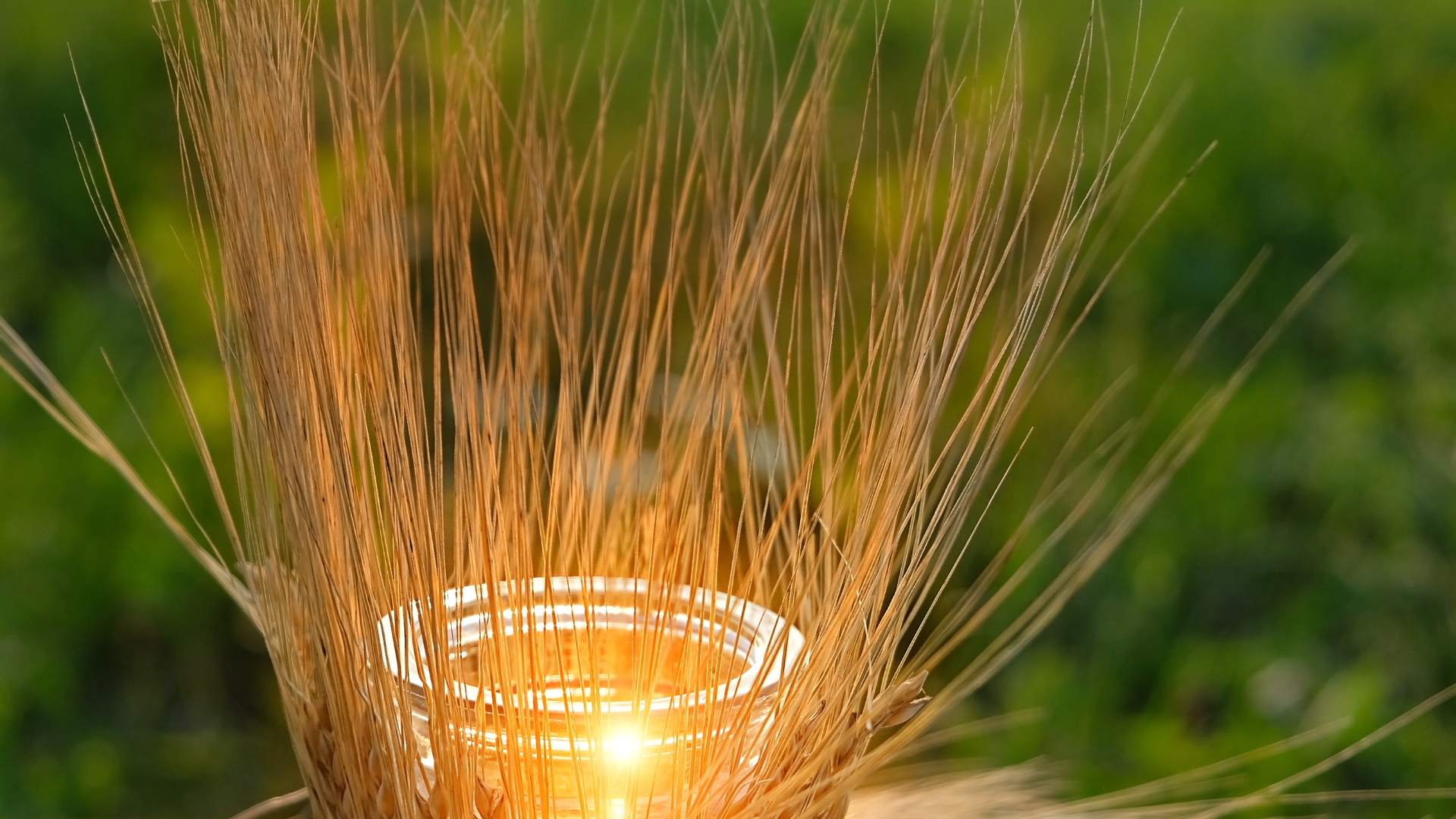 Lammas &amp; Lughnasadh Folk Magic 