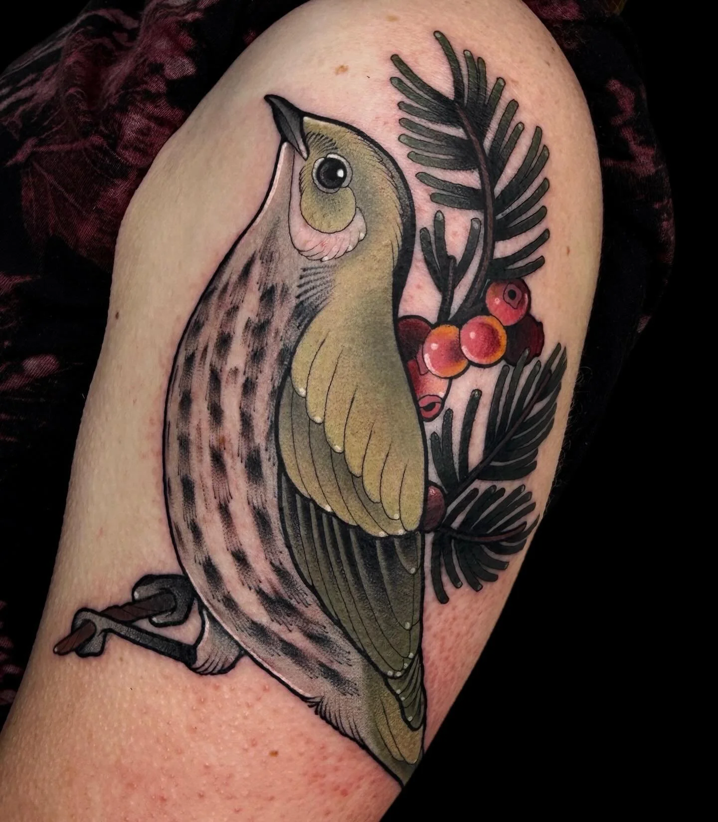 call me the aviary at this point 🐦 birdy built with @thesolidink @kwadron @dynamiccolor @freedom.electric and @bishoprotary 
✸
#ovenbird #birdwatching #neotradtattoo #neotraditionalbird #neoromantictattoo #tattoo #patchwork #patchworktattoo #illustr