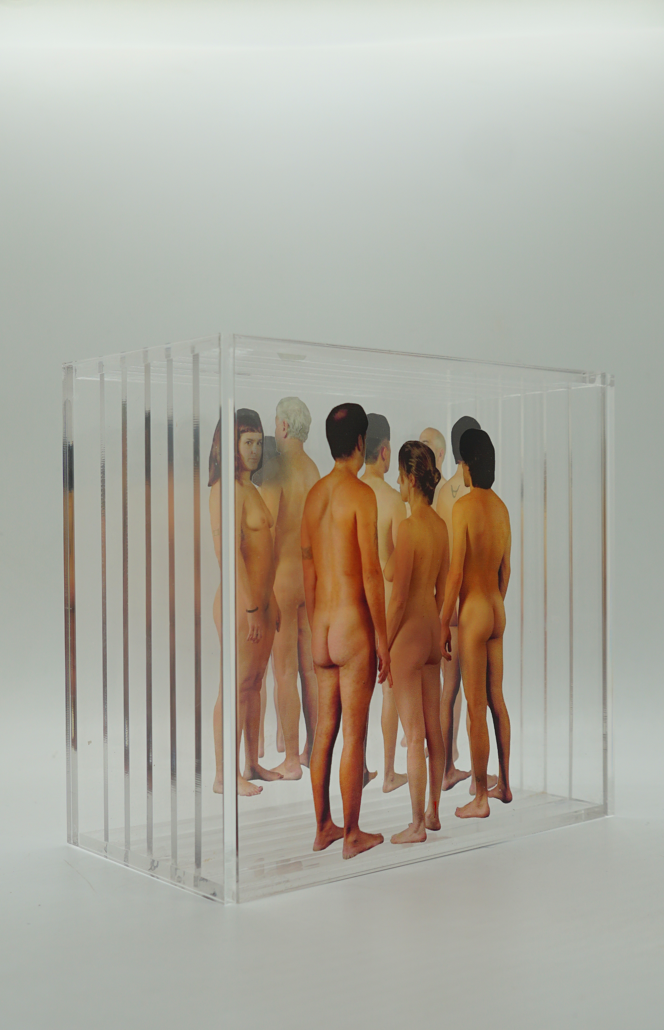 perfo#1 AAZ06823.png