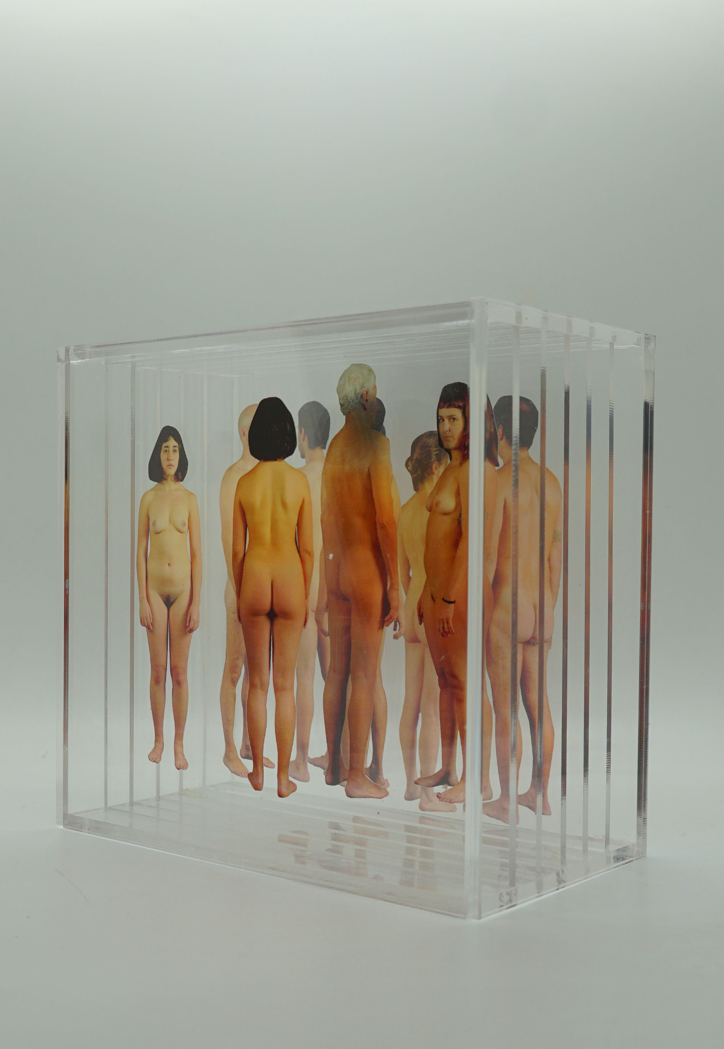 perfo#1 B AAZ06824.png