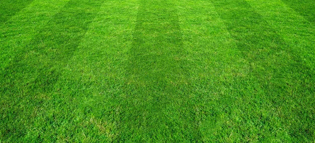 green-grass-field-pattern-background-soccer-football-sports_64749-2365.jpg