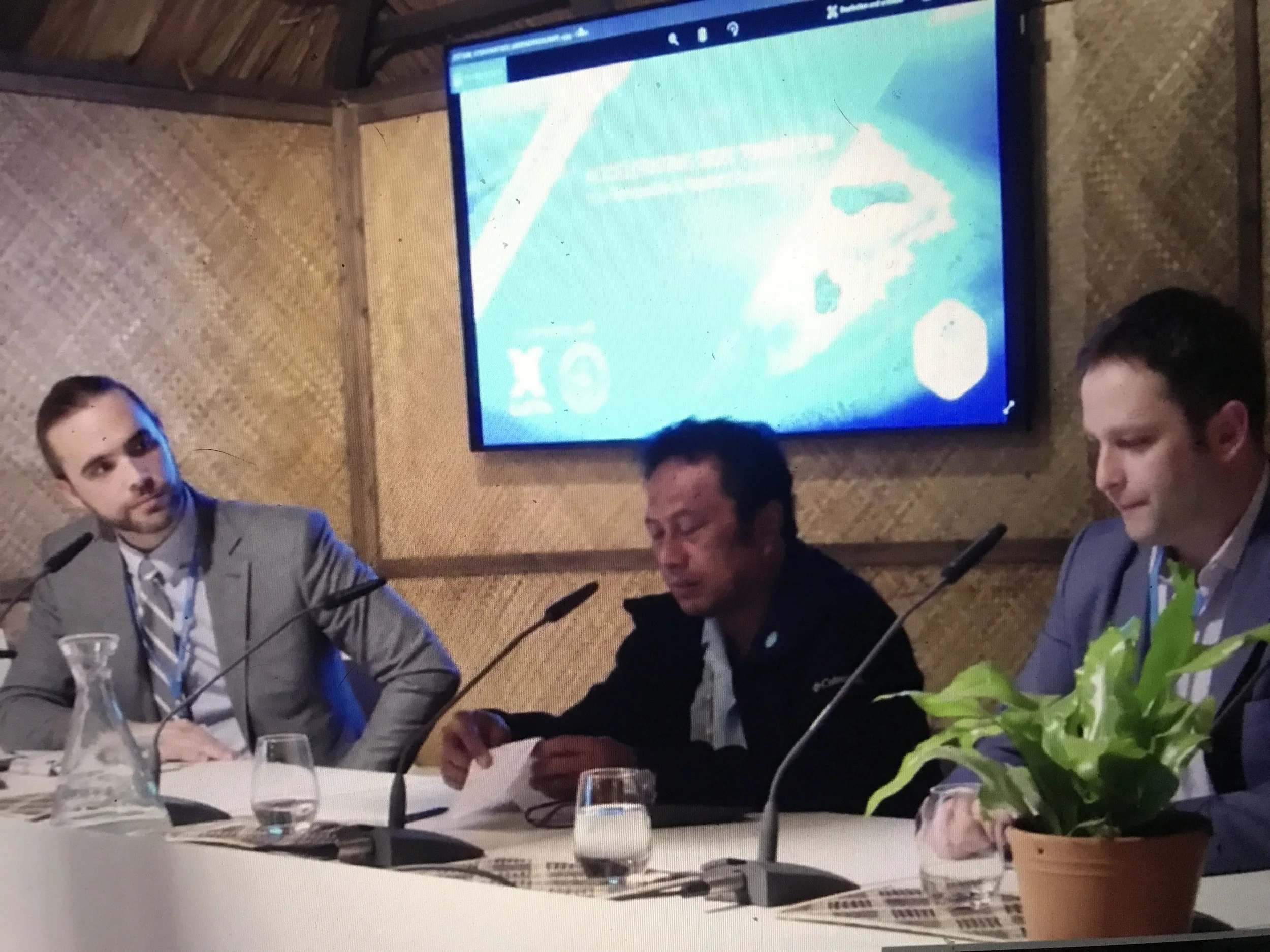COP23panel2.jpg