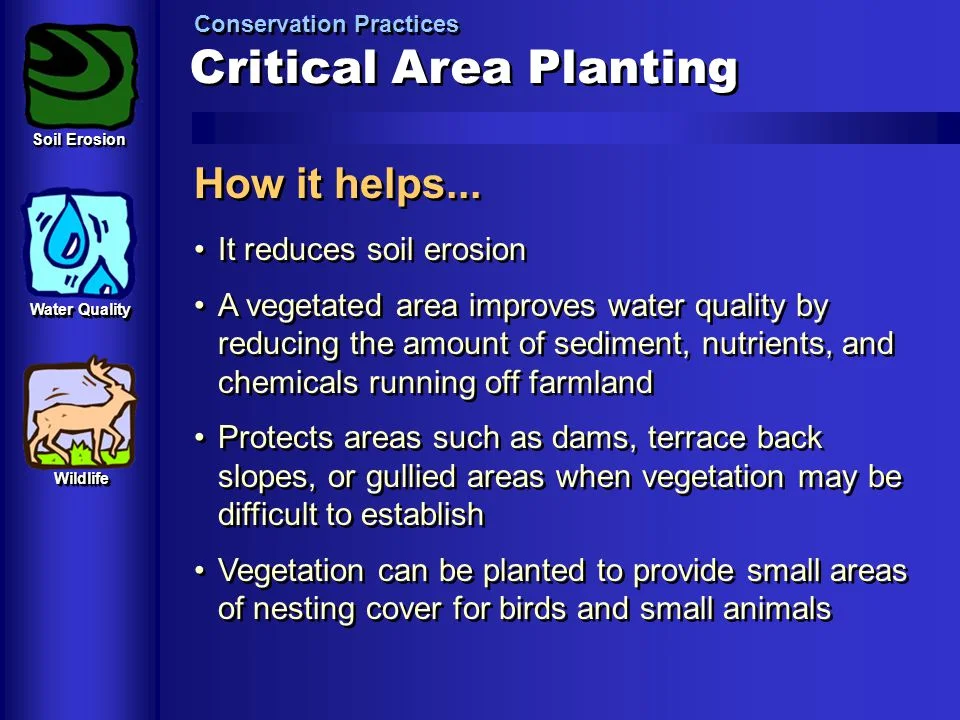 Critical+Area+Planting.jpg