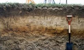 Up your Soil IQ with Soil Testing