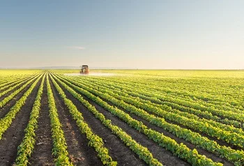 Precision Agriculture and Conservation Hand in Hand