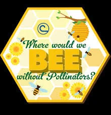 Where would we BEE without pollinators? — Ashland SWCD
